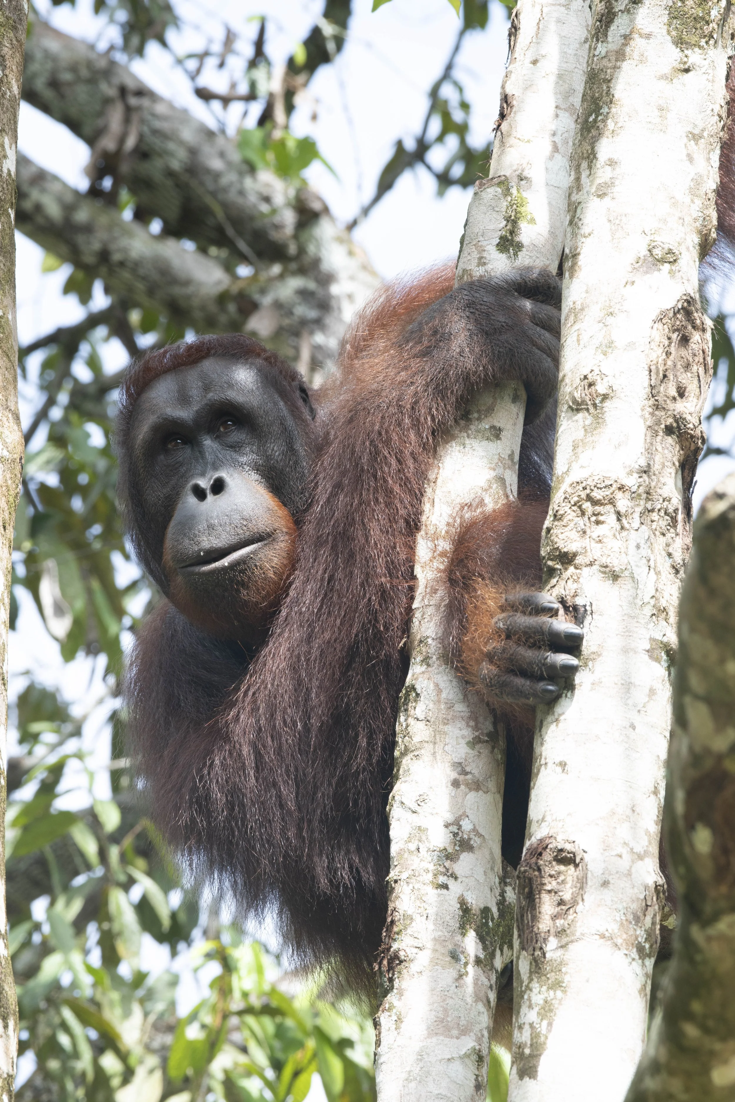 ©Jodie Grillmeier  .JPG