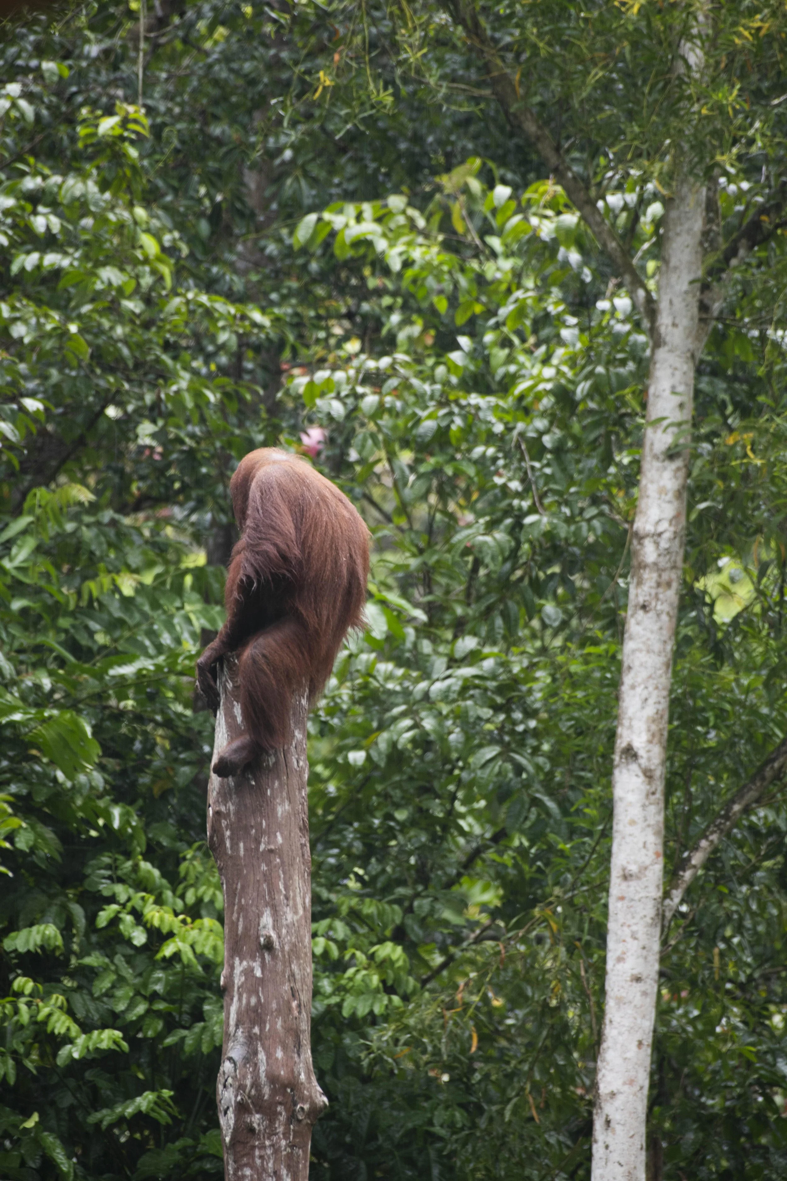 @jodie grillmeier 362.jpg