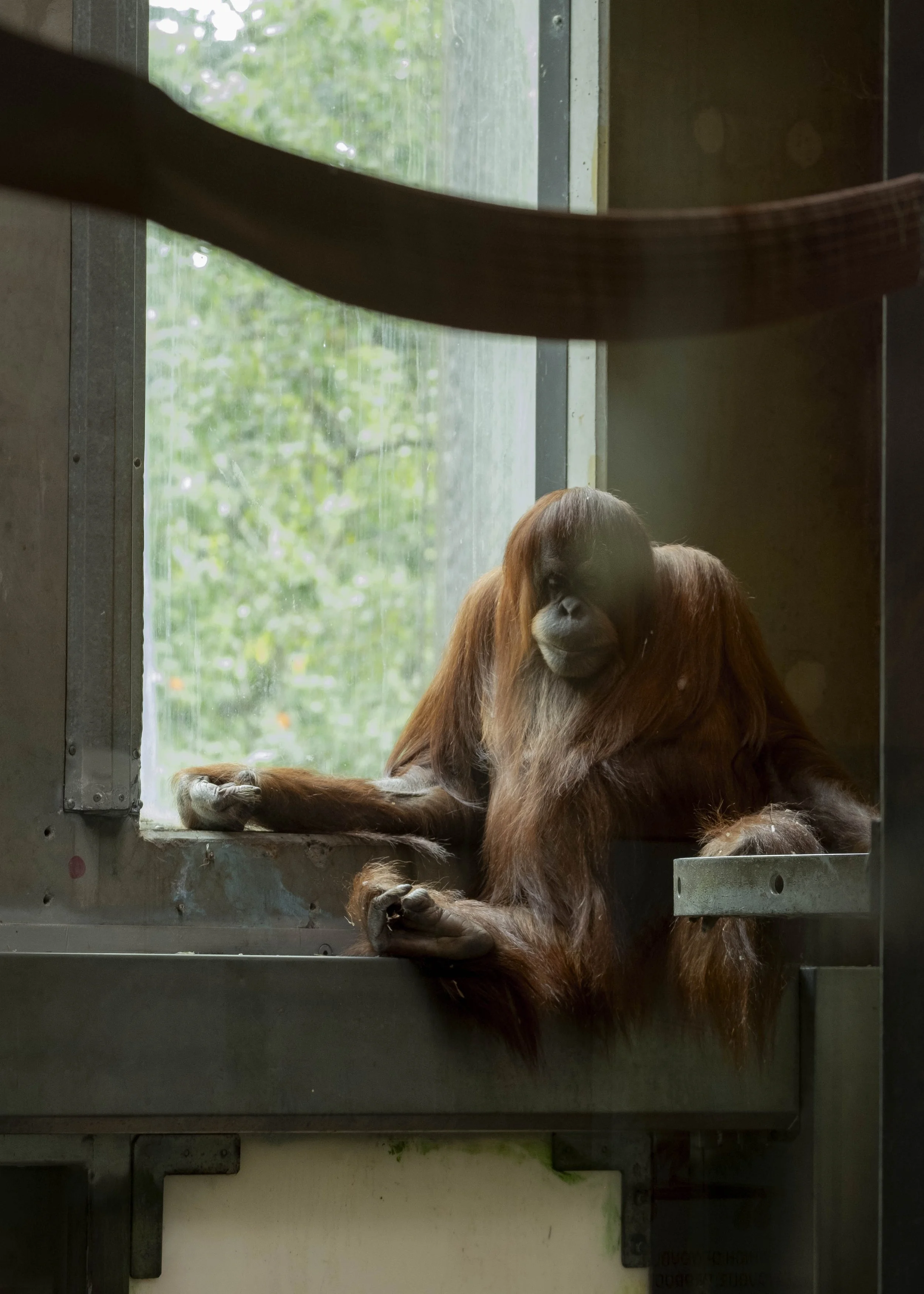 ©jodie Grillmeier.jpg