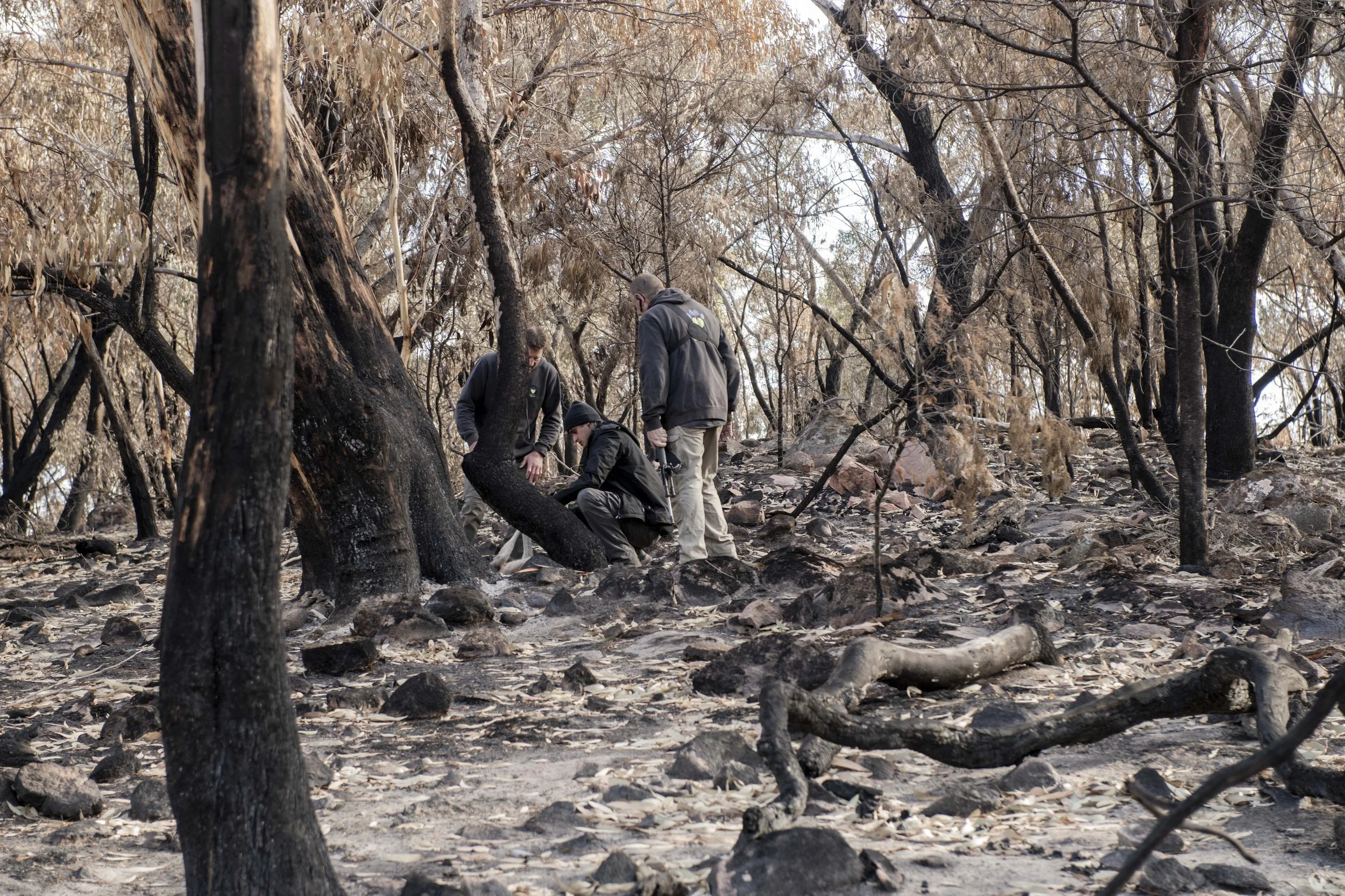 @jodie grillmeier 468.jpg