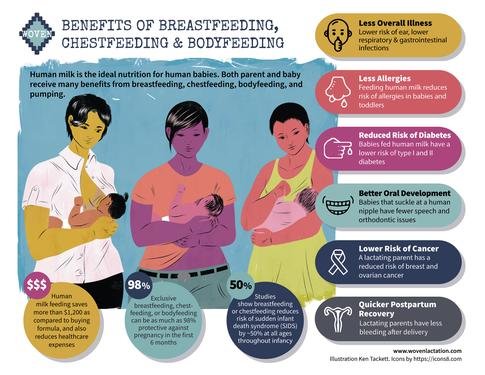 Chestfeeding & breastfeeding facts infographic
