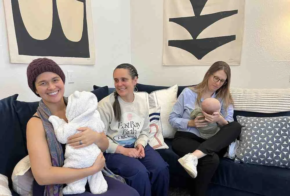 Six-week postpartum recovery support group Oakland — Woven Lactation