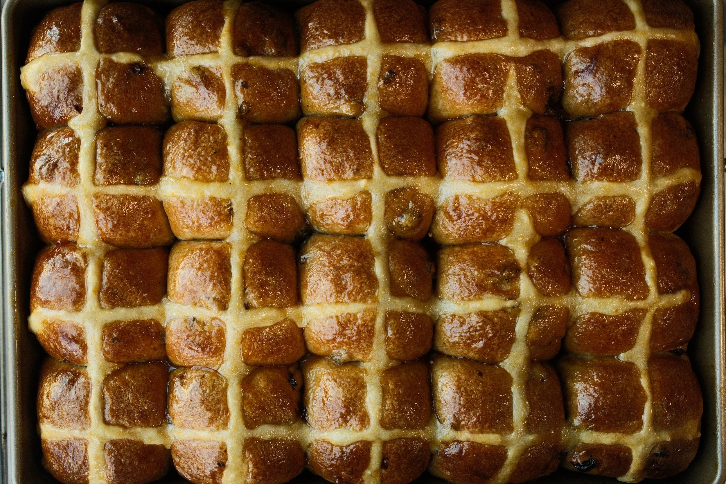 Hot Angry Buns - 6 Pack