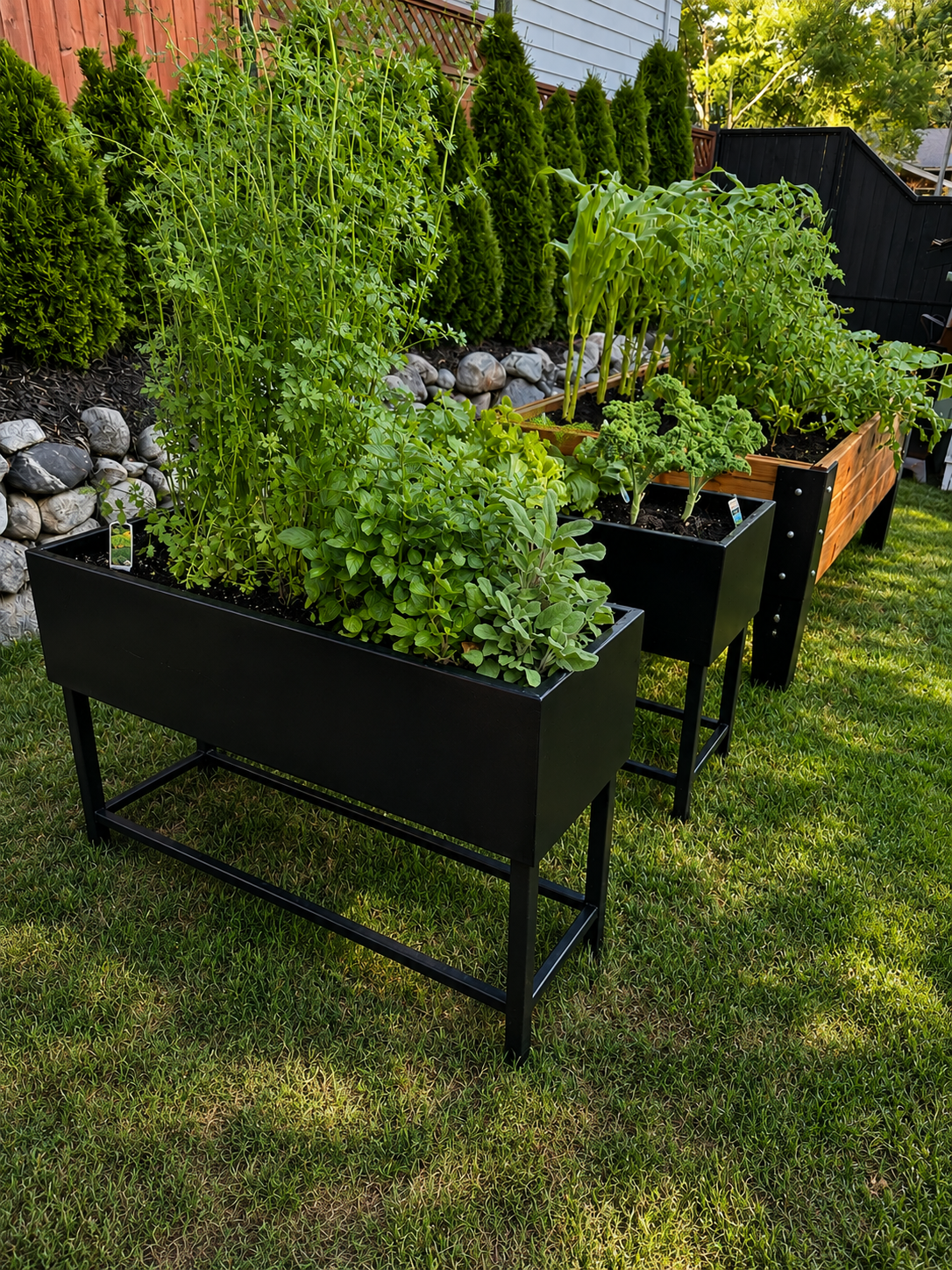 WCP - Garden.png