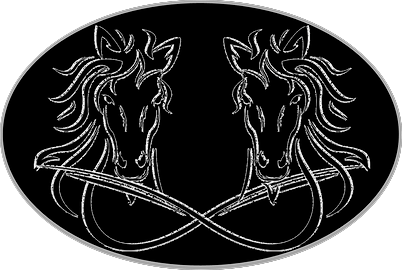 The Painted Horse Rescue 