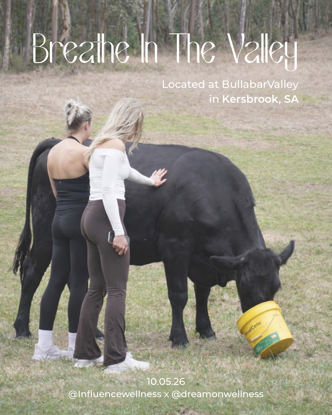 BREATHE IN THE VALLEY - 2.PNG