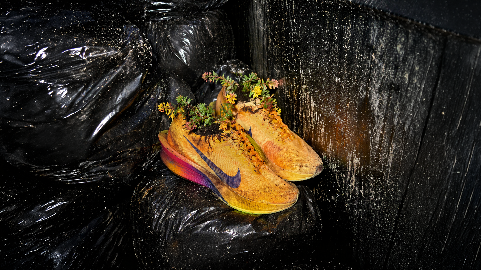 + Nike ‧ Good runners buy Nike, Great runners throw Nike away