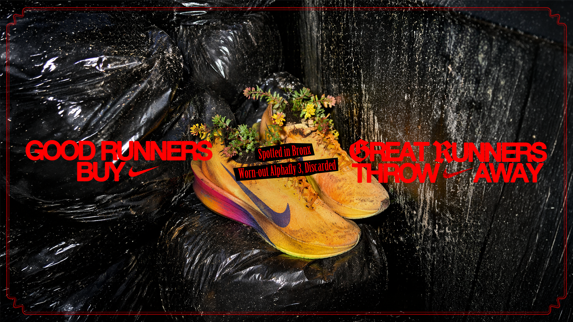 final 3.png