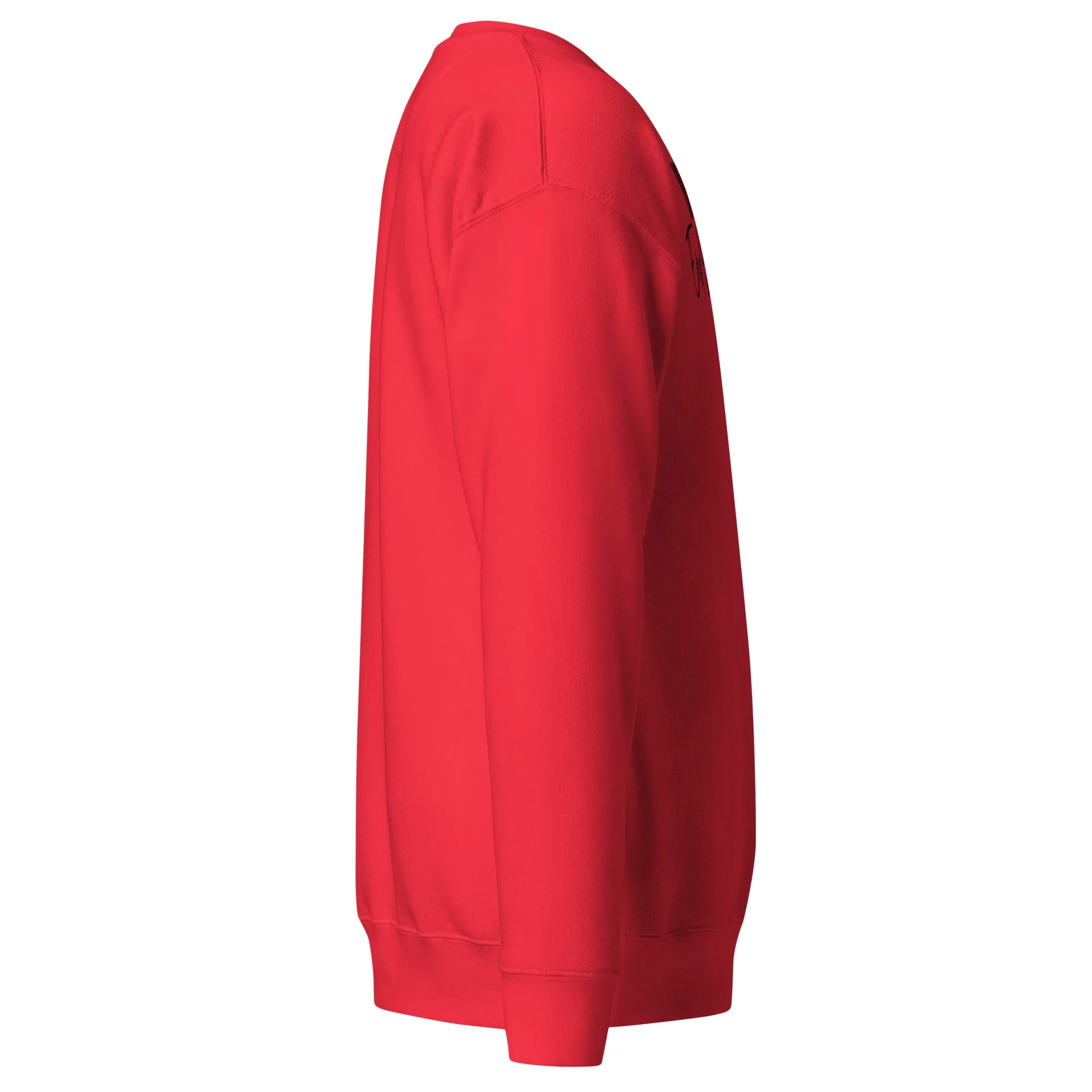 unisex-premium-sweatshirt-team-red-right-670a2b4d30700.jpg
