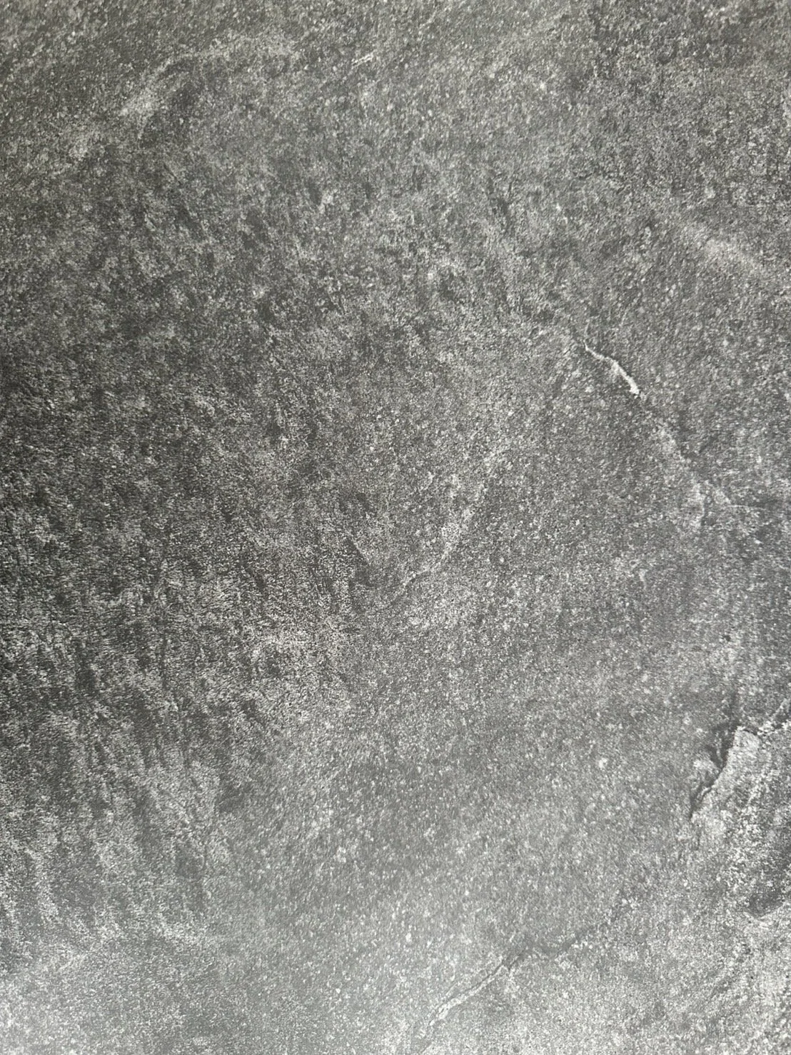 S__7233548.jpg
