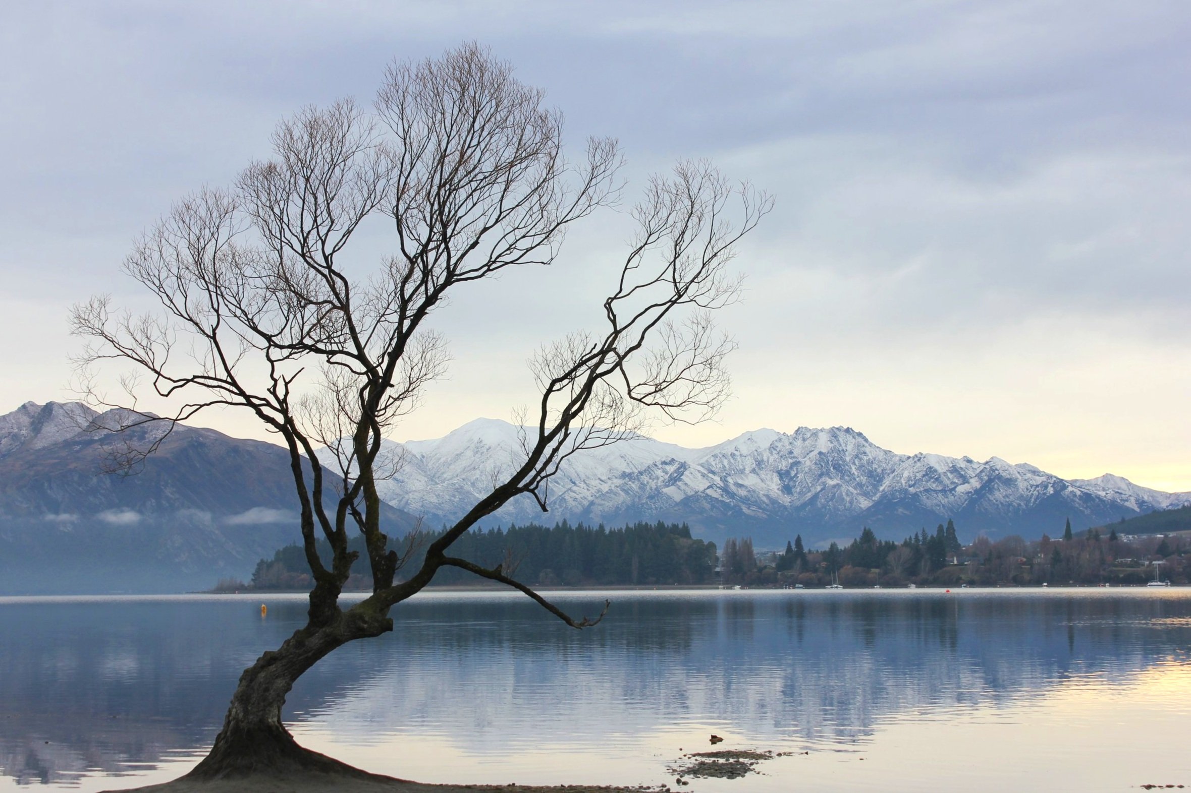 IMG_7169+copy.jpg
