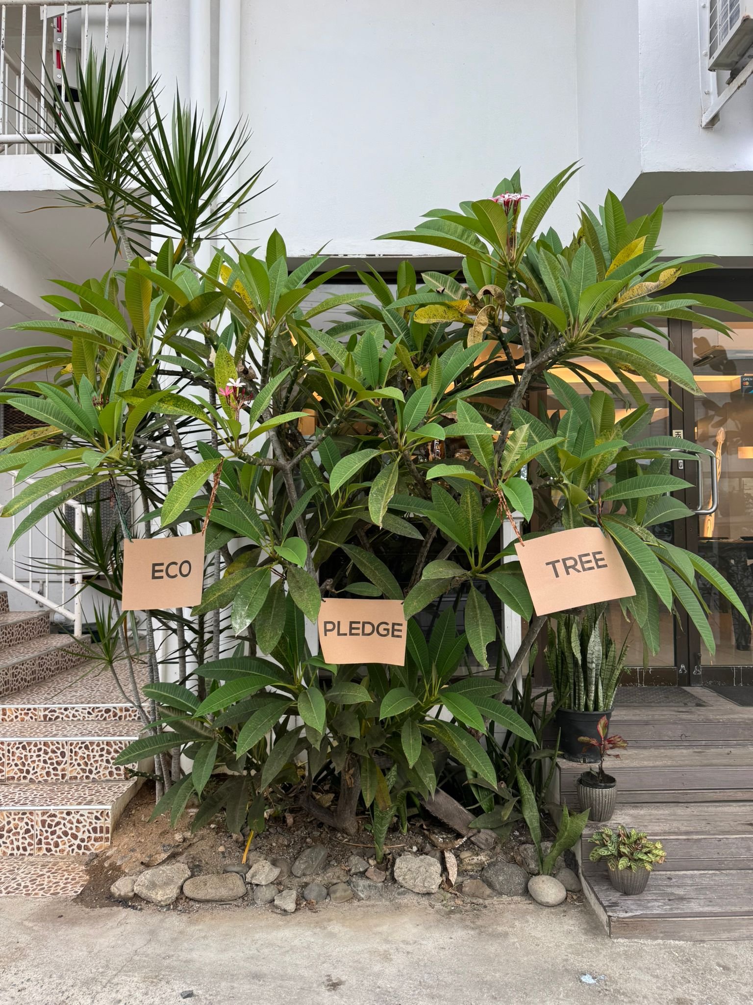 WhatsApp Image 2026-03-30 at 2.55.03 PM (1).jpeg