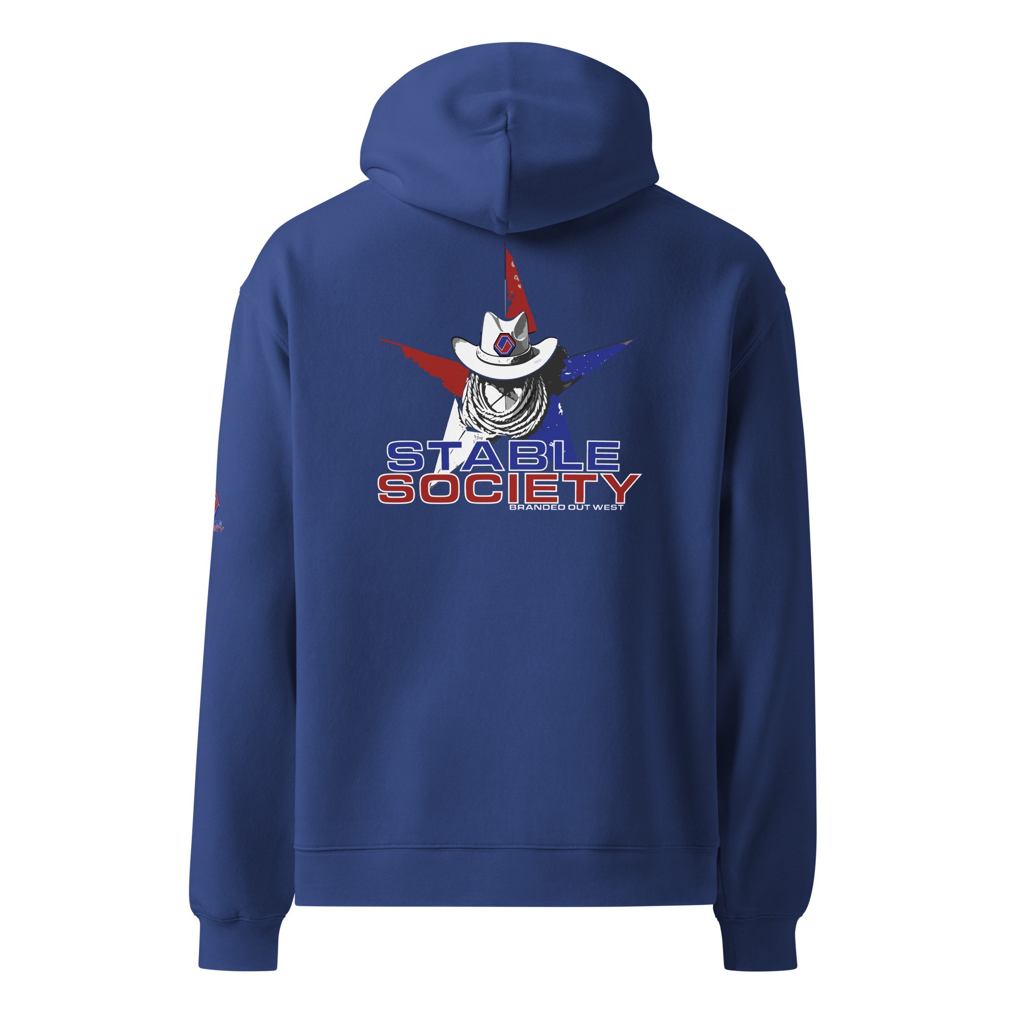 unisex-oversized-hoodie-cobalt-back-683666cd22068.jpg