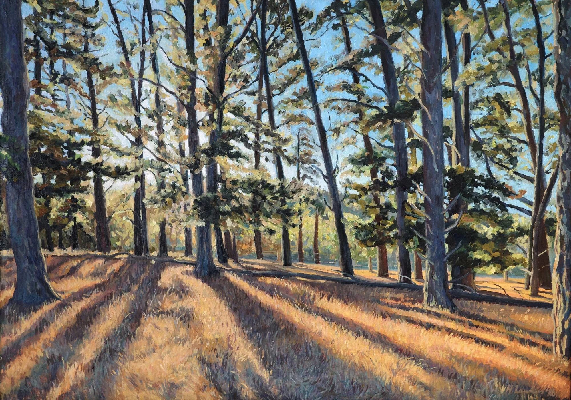 Long Evening Shadows, Adelaide Hills - Harriet Lawless Artist
