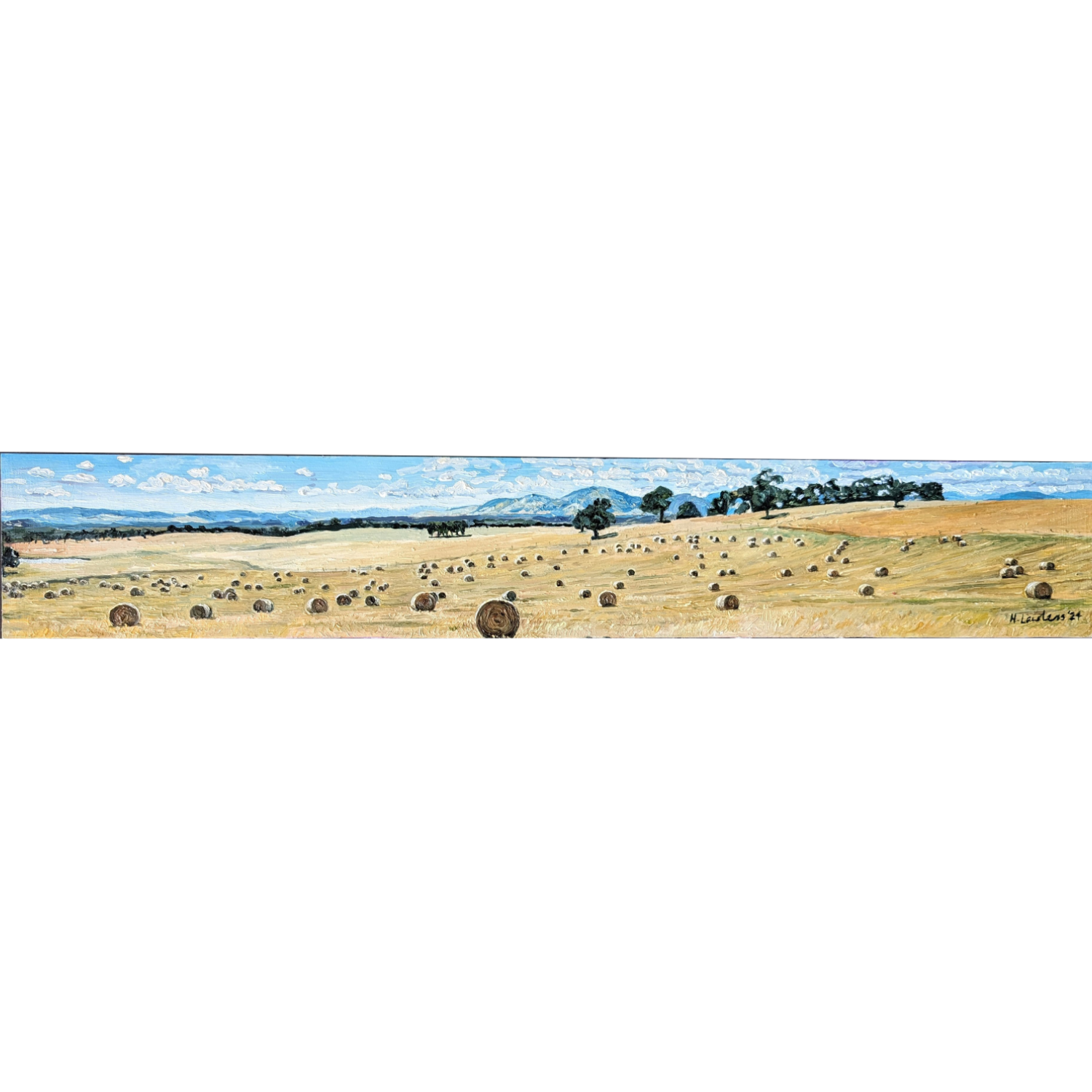 Amber Panorama; Australian Countryside - Harriet Lawless Artist