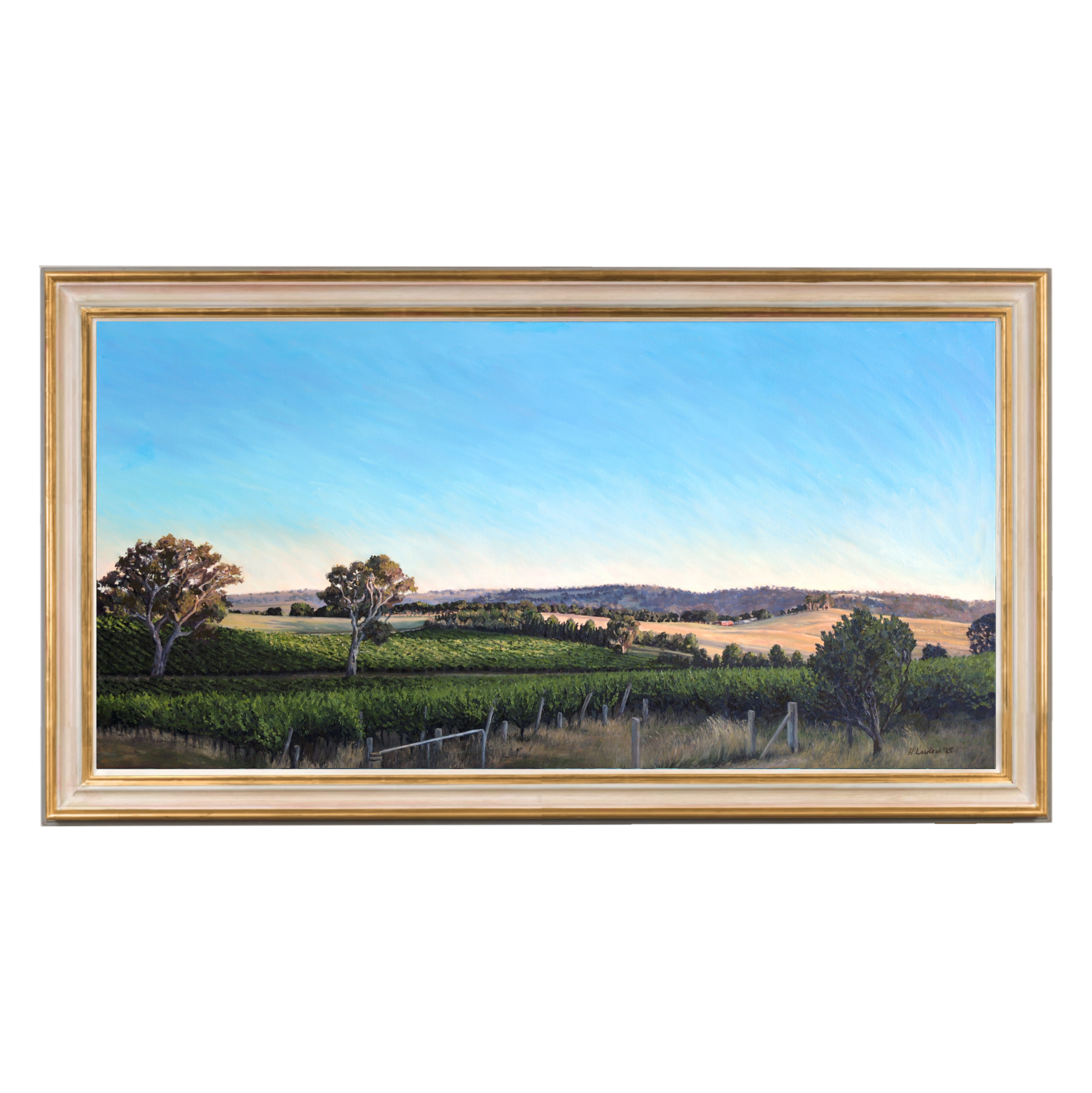 Summer Sunset in the Vineyards, Adelaide Hills