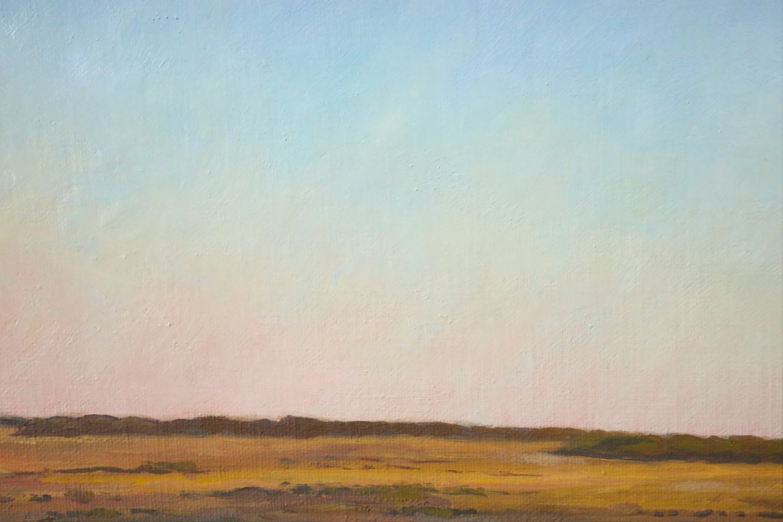 End of the Day at the Bottom of the Eyre Peninsula - Harriet Lawless Artist