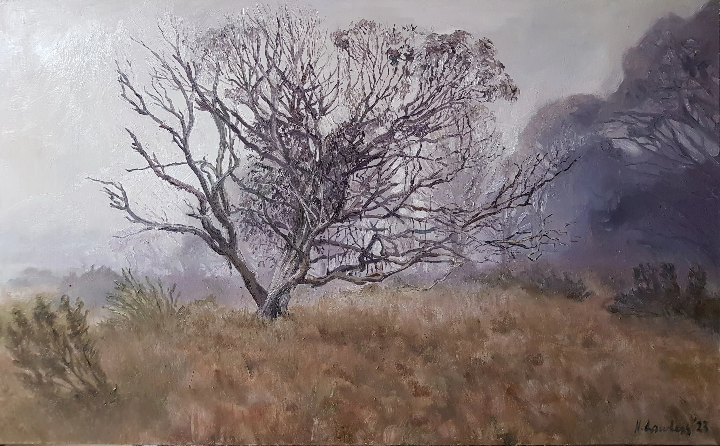 "Summer mist at Dinner Plain", Oil on board, 60 × 37cm, 2023. Sold.