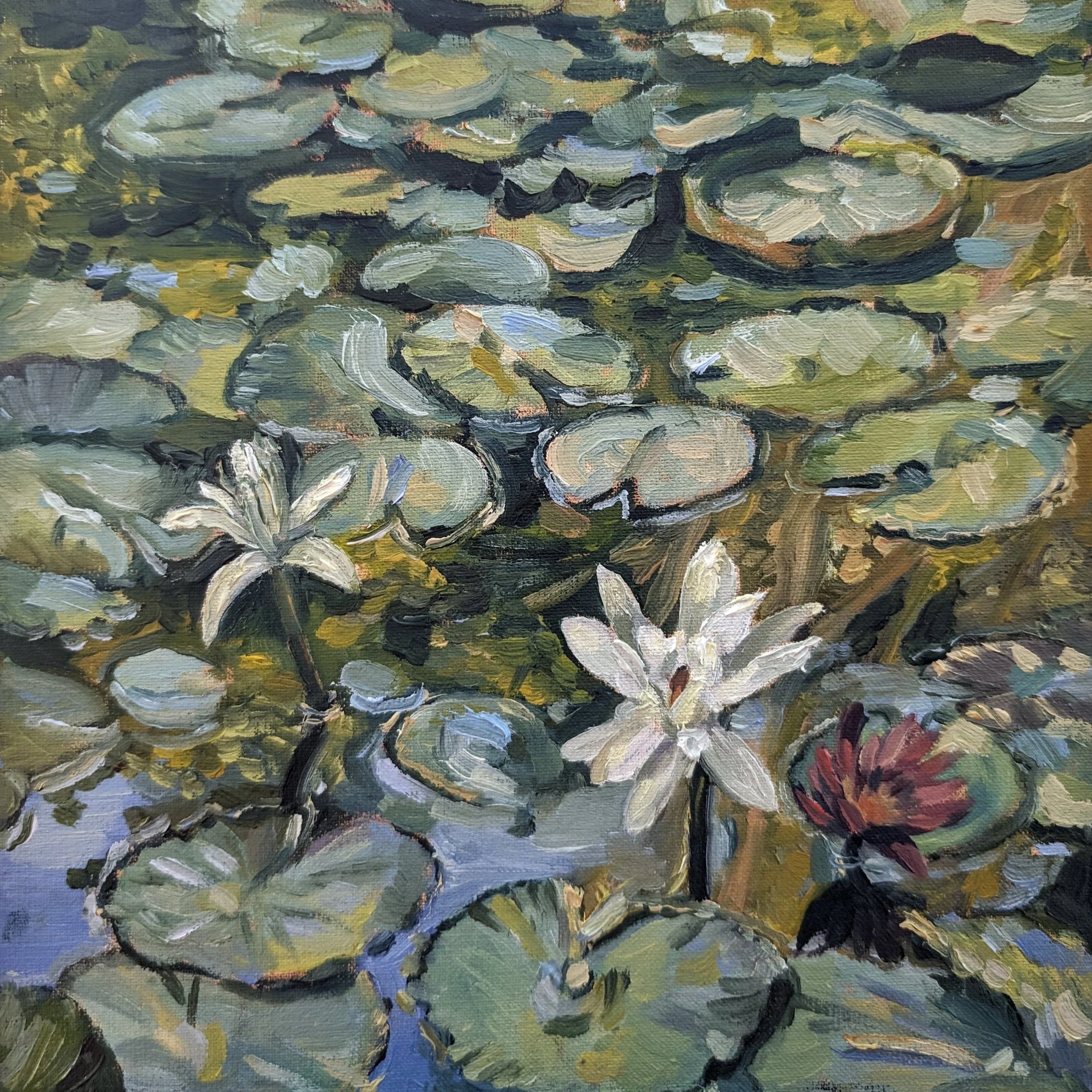 Lilies In Bloom - Harriet Lawless Artist