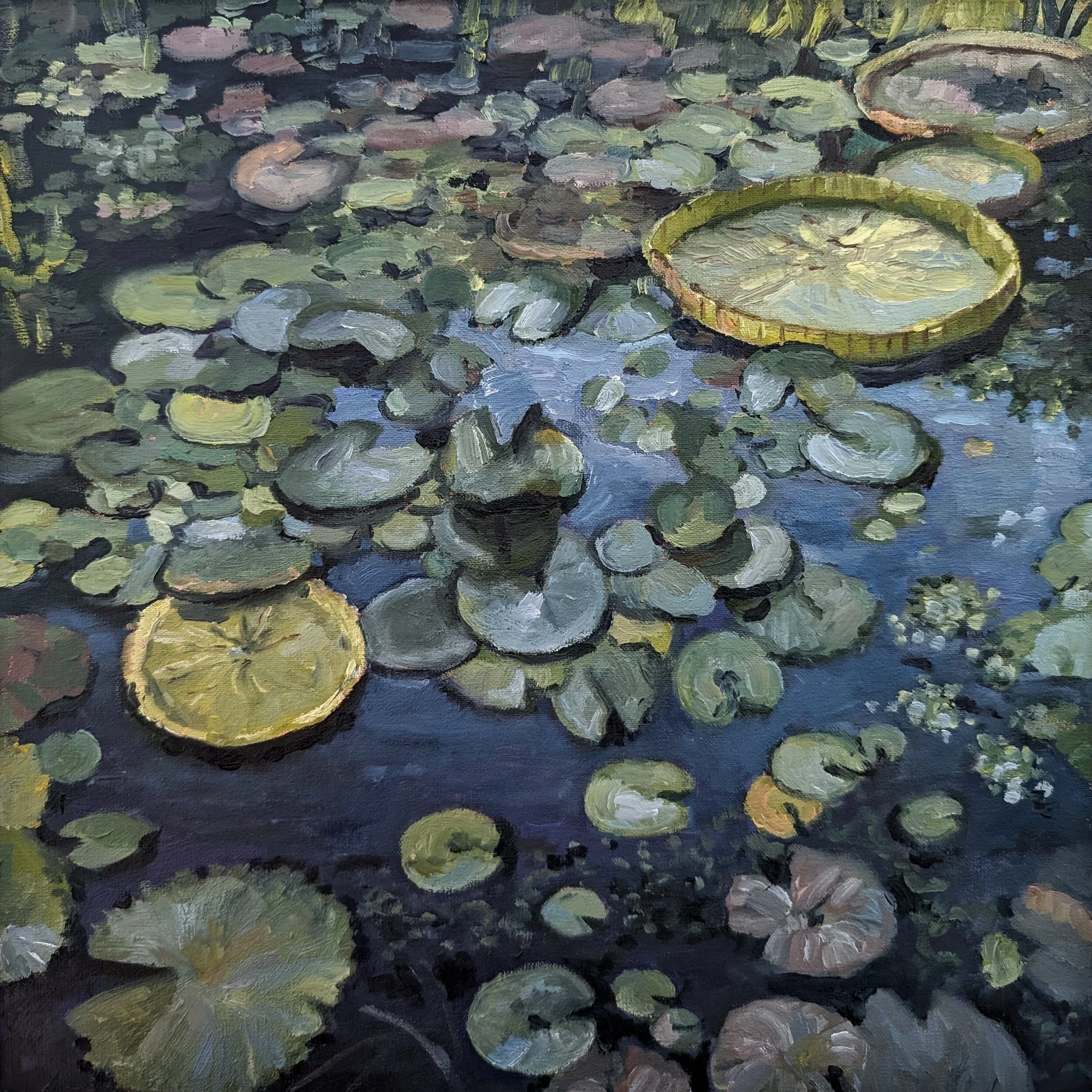 Lily Pads On Blue Waters - Harriet Lawless Artist