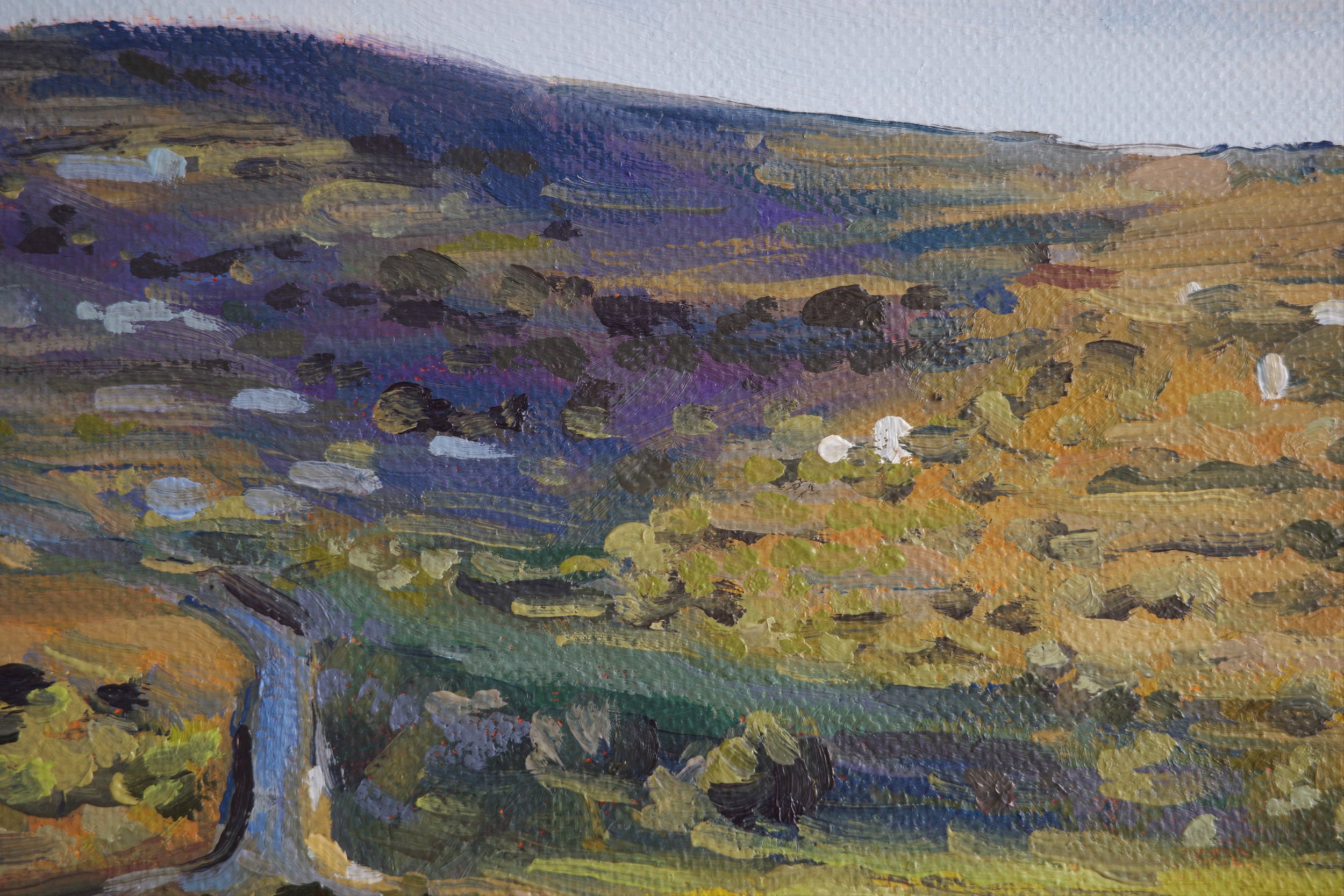 R0000988.jpg