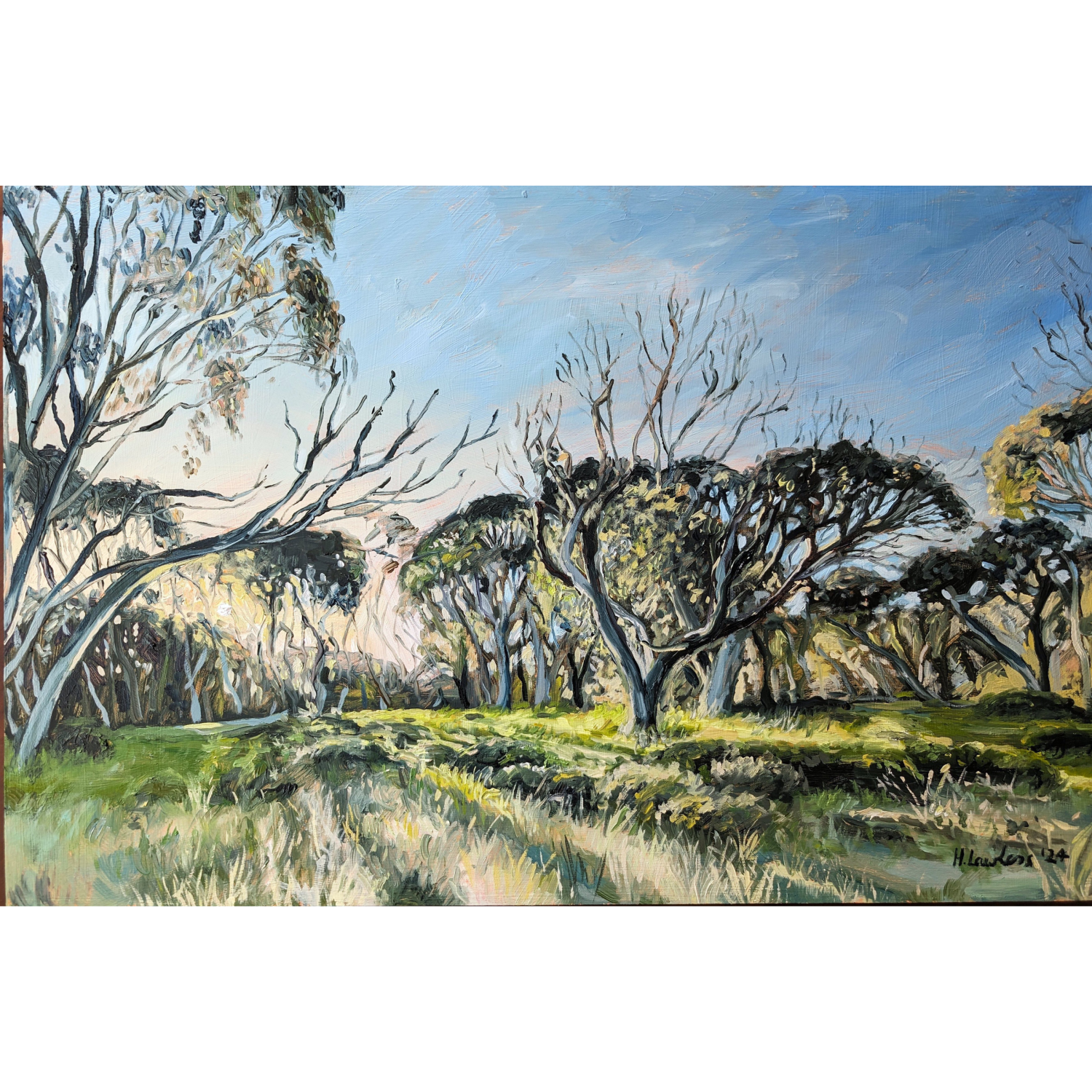 Dawn Blues At Dinner Plain - Harriet Lawless Artist