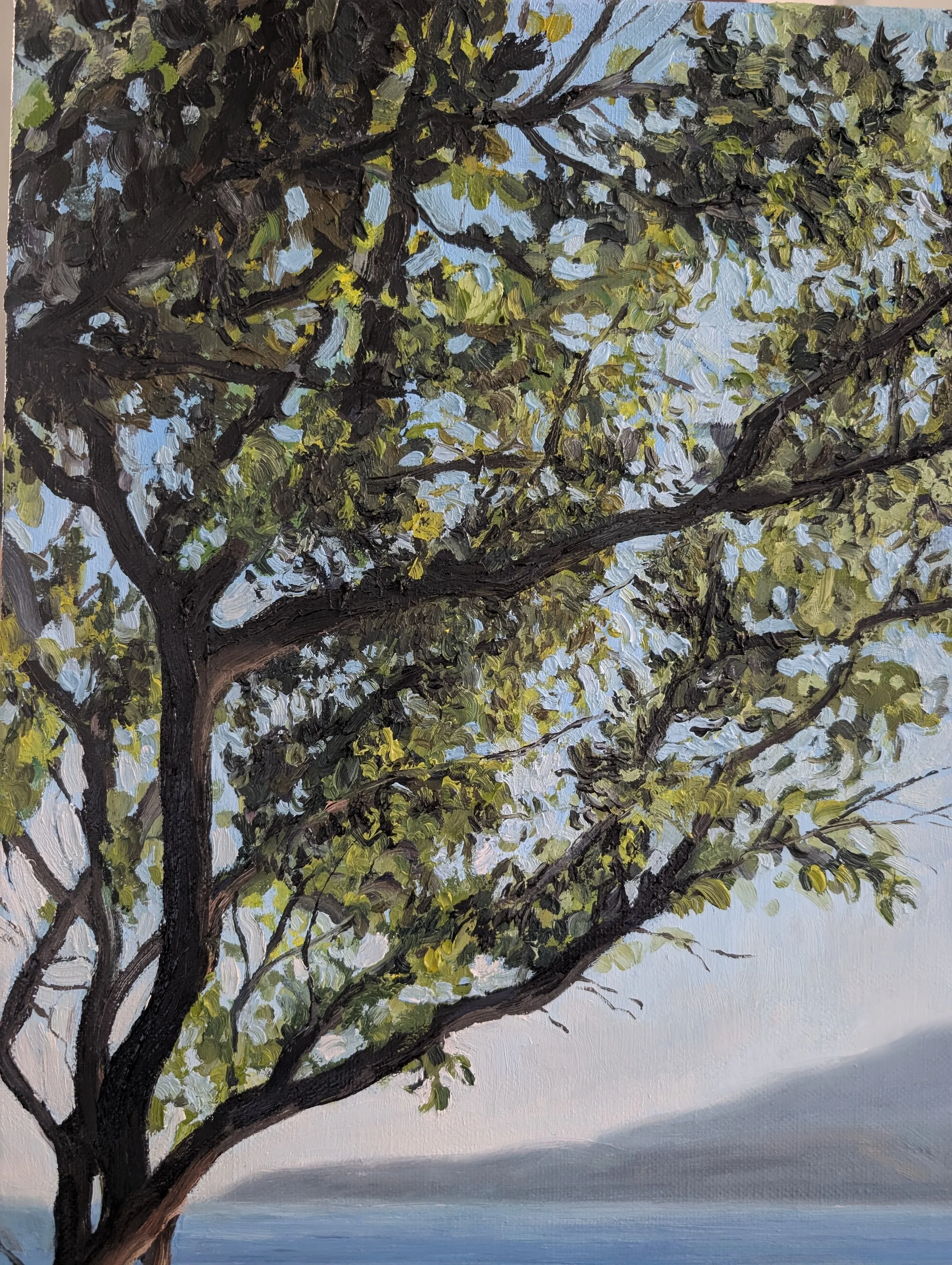 Through the Trees From the Castle, Koroni - Harriet Lawless Artist