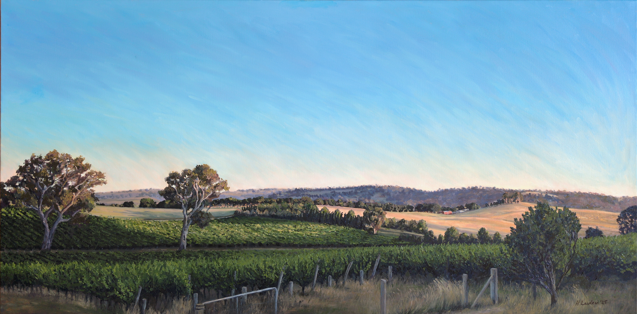 Summer Sunset in the Vineyards, Adelaide Hills - Harriet Lawless Artist