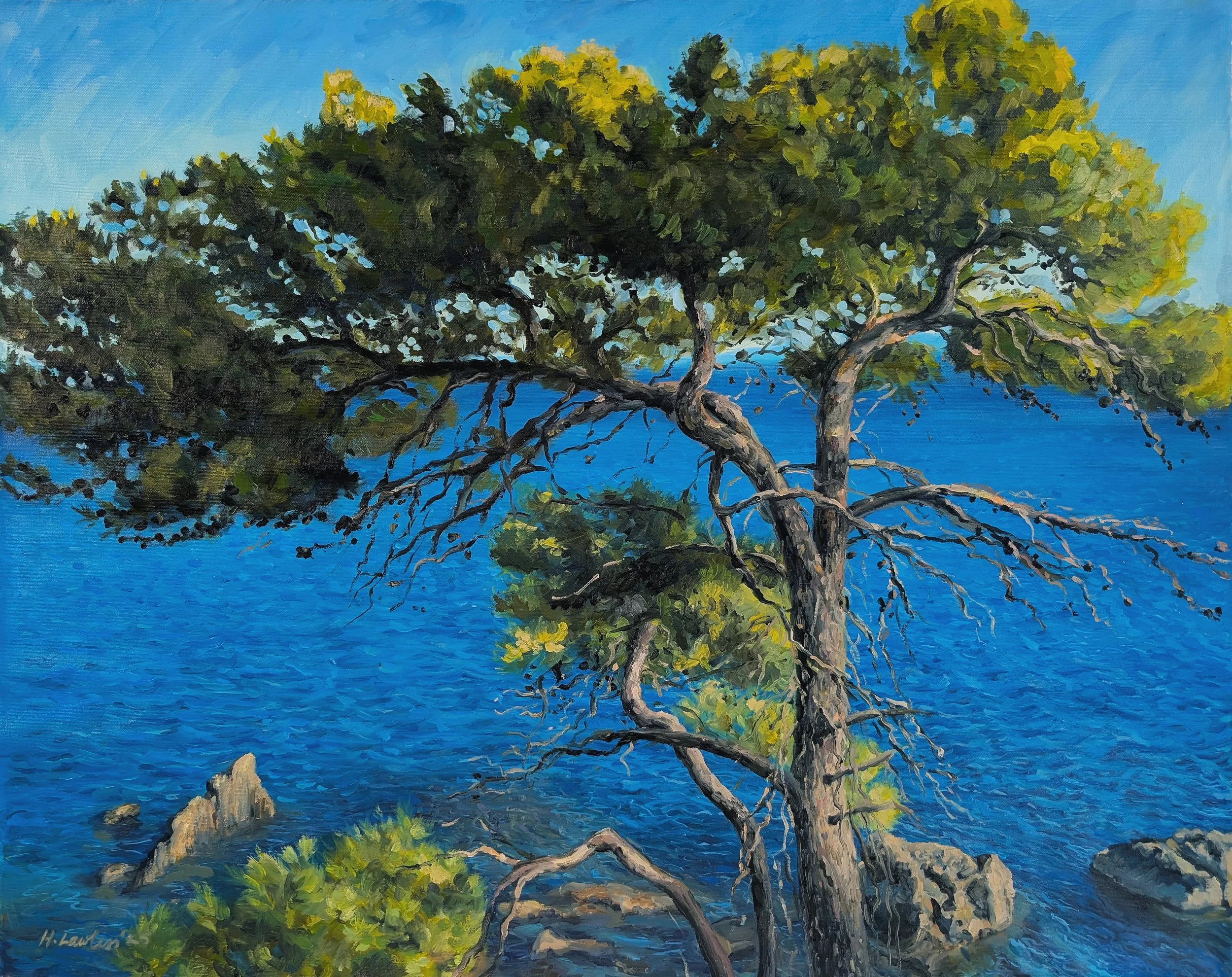 "Pine Tree, Koroni", Oil on canvas, 80 × 65cm, 2025. Available.