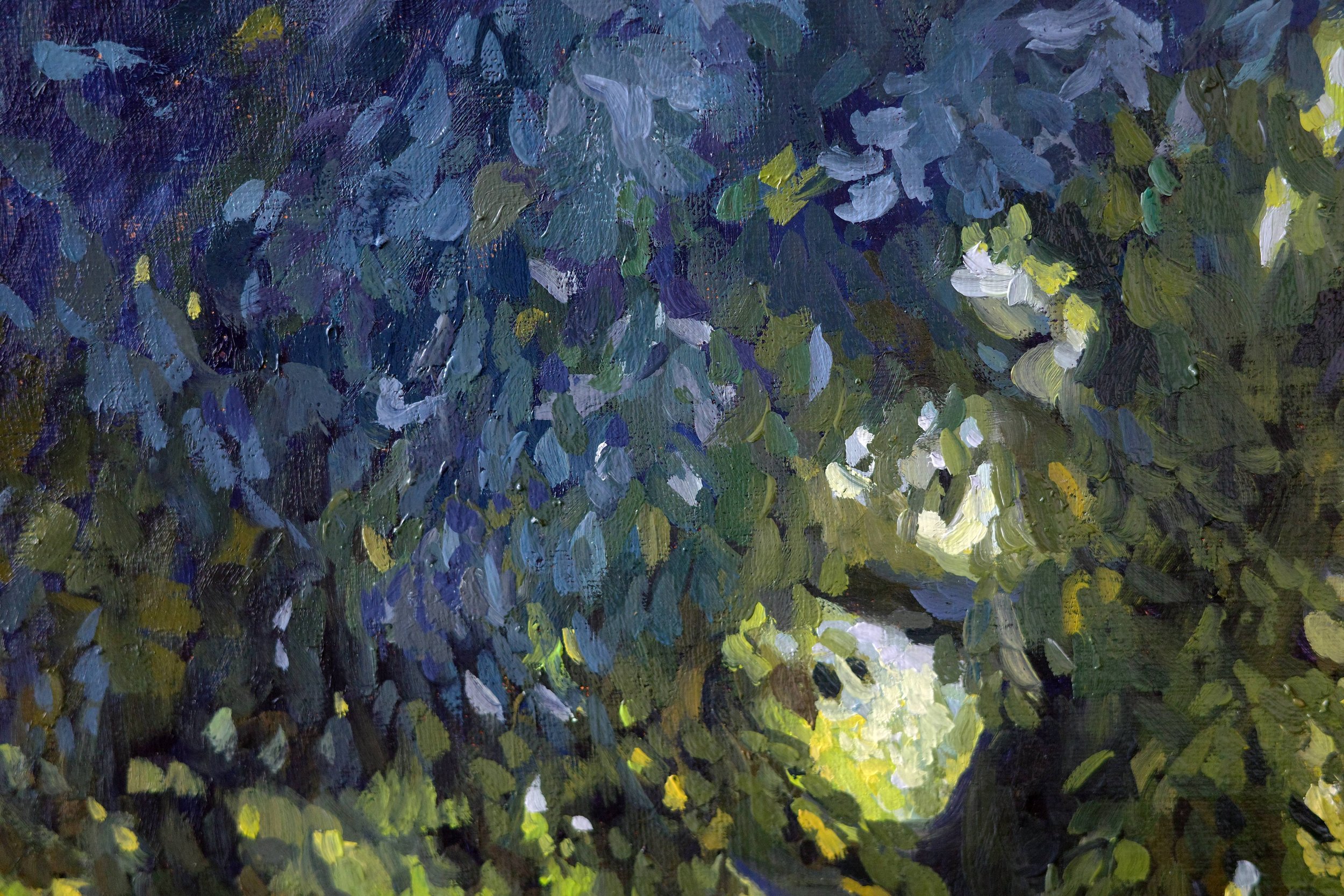 Home Time, Summer In St James's Park - Harriet Lawless Artist