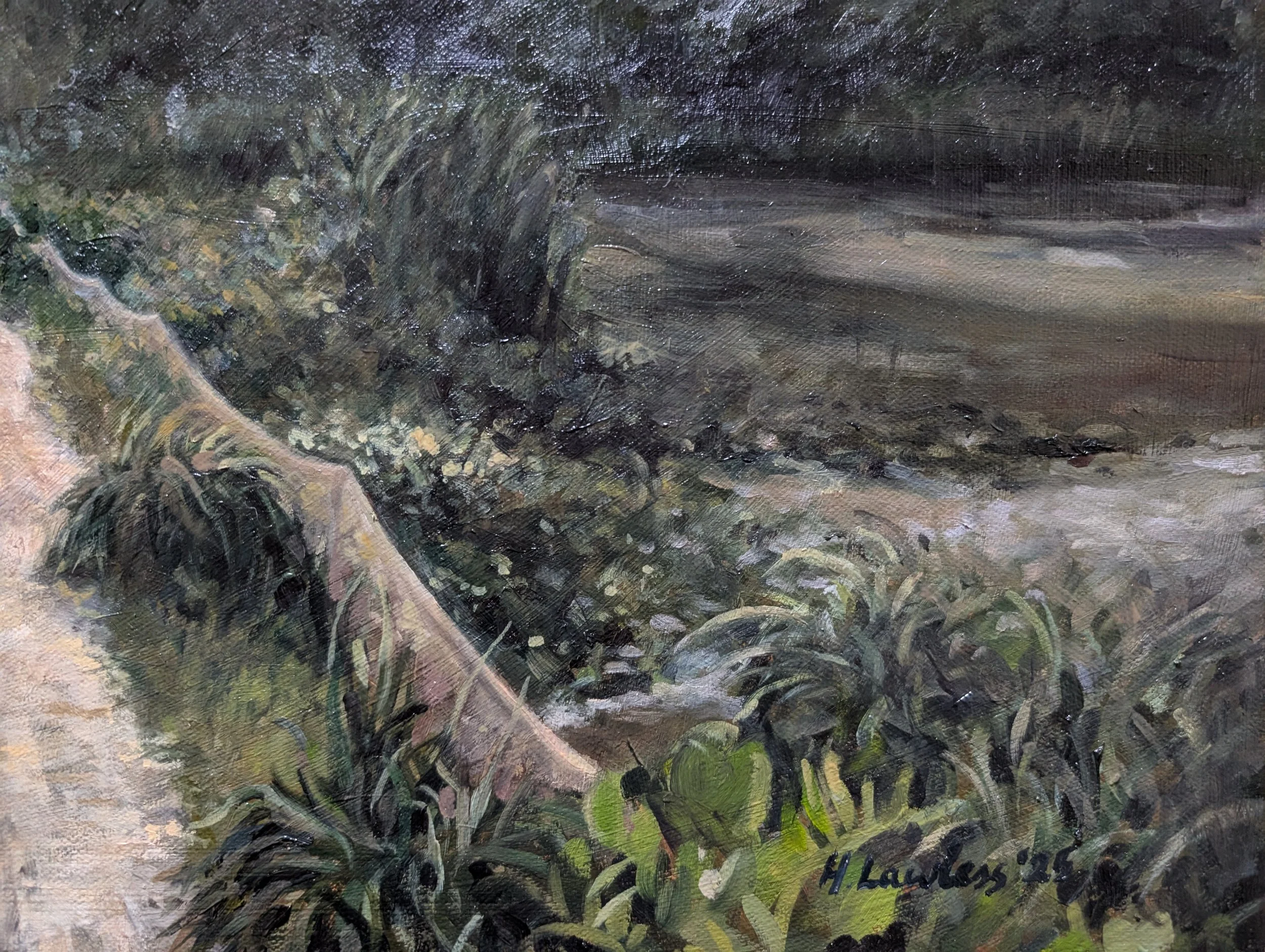 Where the Light Leads; Through the Paddies - Harriet Lawless Artist