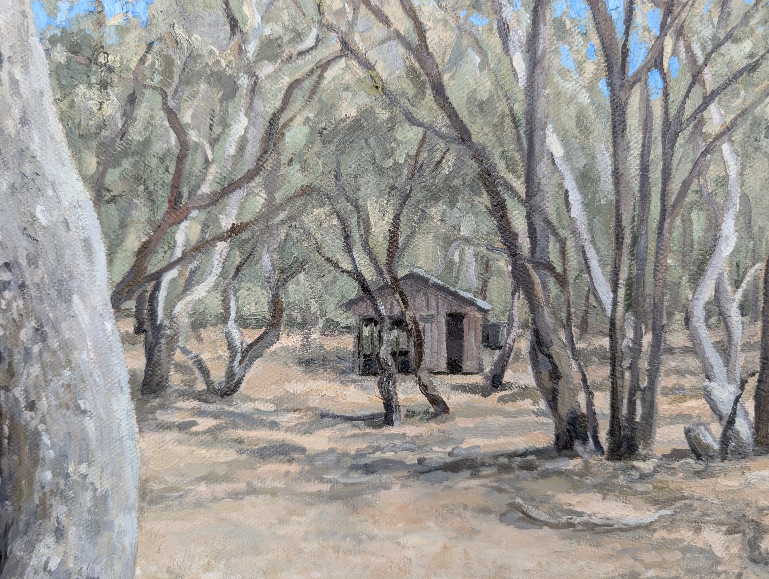 Just Off Tom Roberts Road - Harriet Lawless Artist
