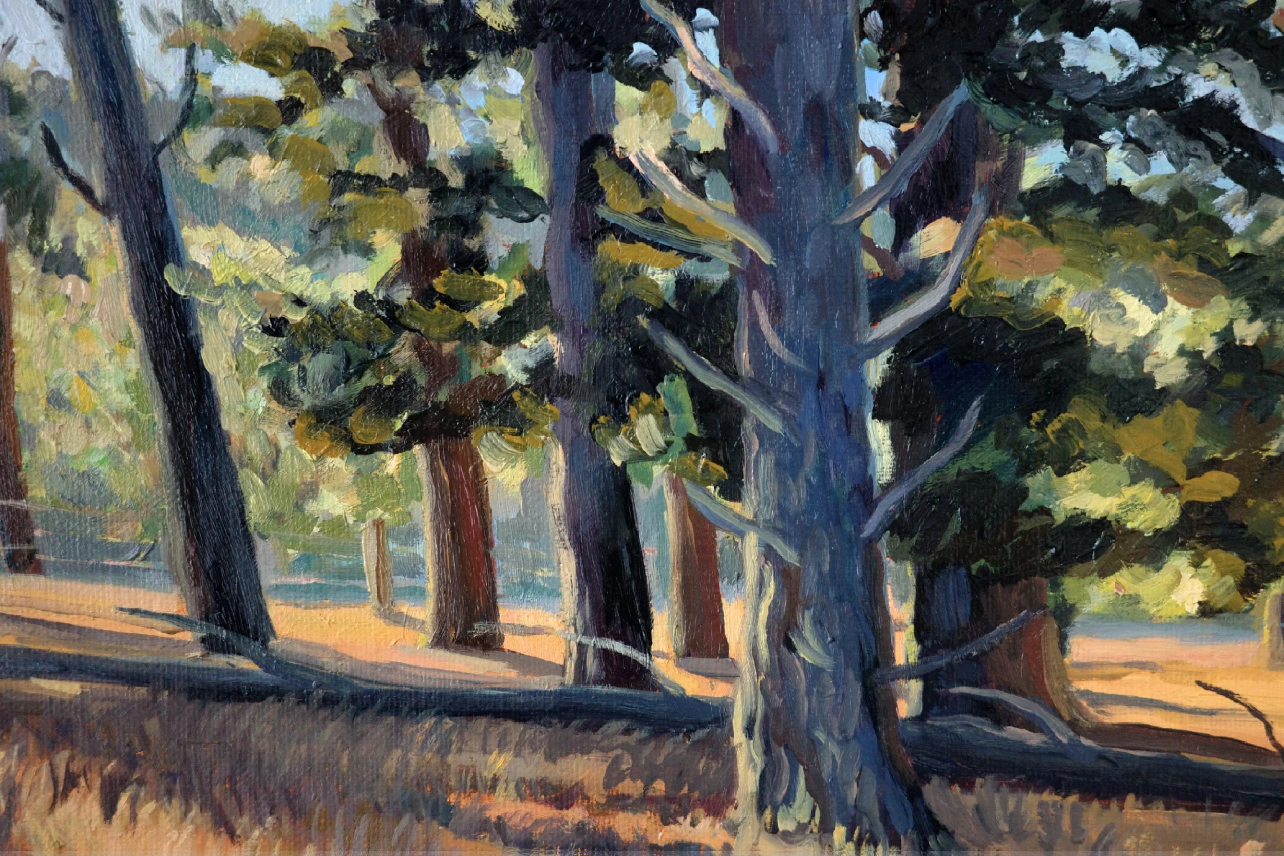 Long Evening Shadows, Adelaide Hills - Harriet Lawless Artist