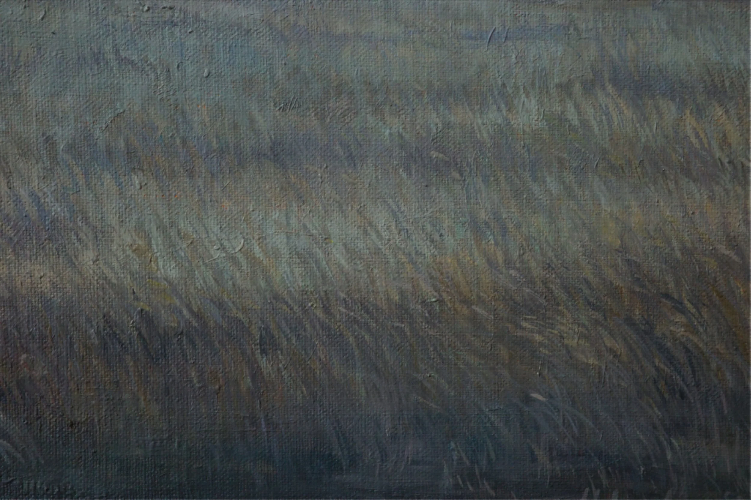 End of the Day at the Bottom of the Eyre Peninsula - Harriet Lawless Artist