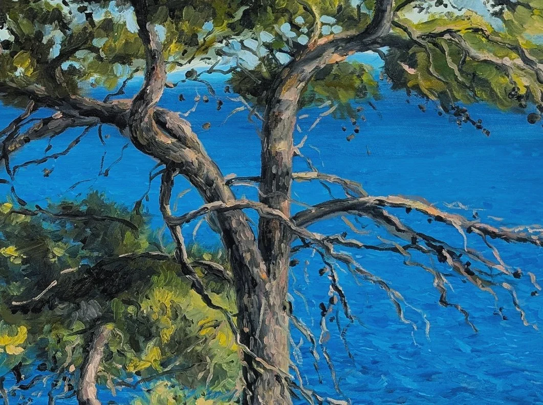 Pine Tree, Koroni - Harriet Lawless Artist