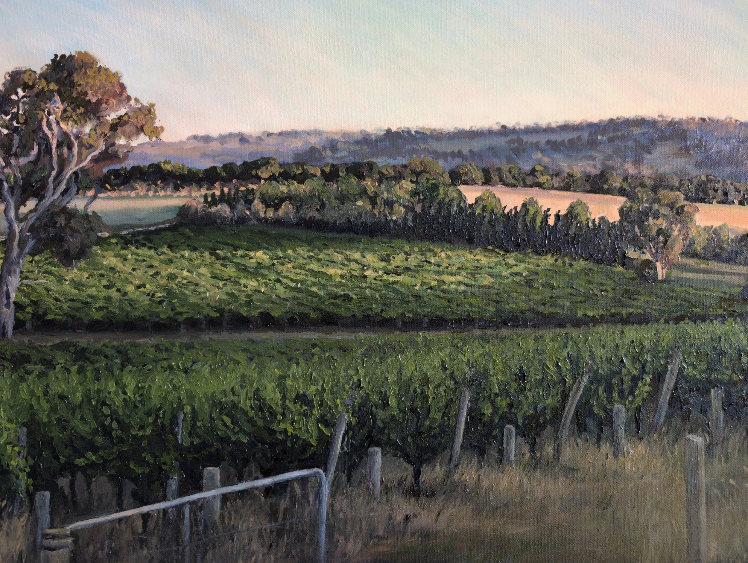 Summer Sunset in the Vineyards, Adelaide Hills - Harriet Lawless Artist