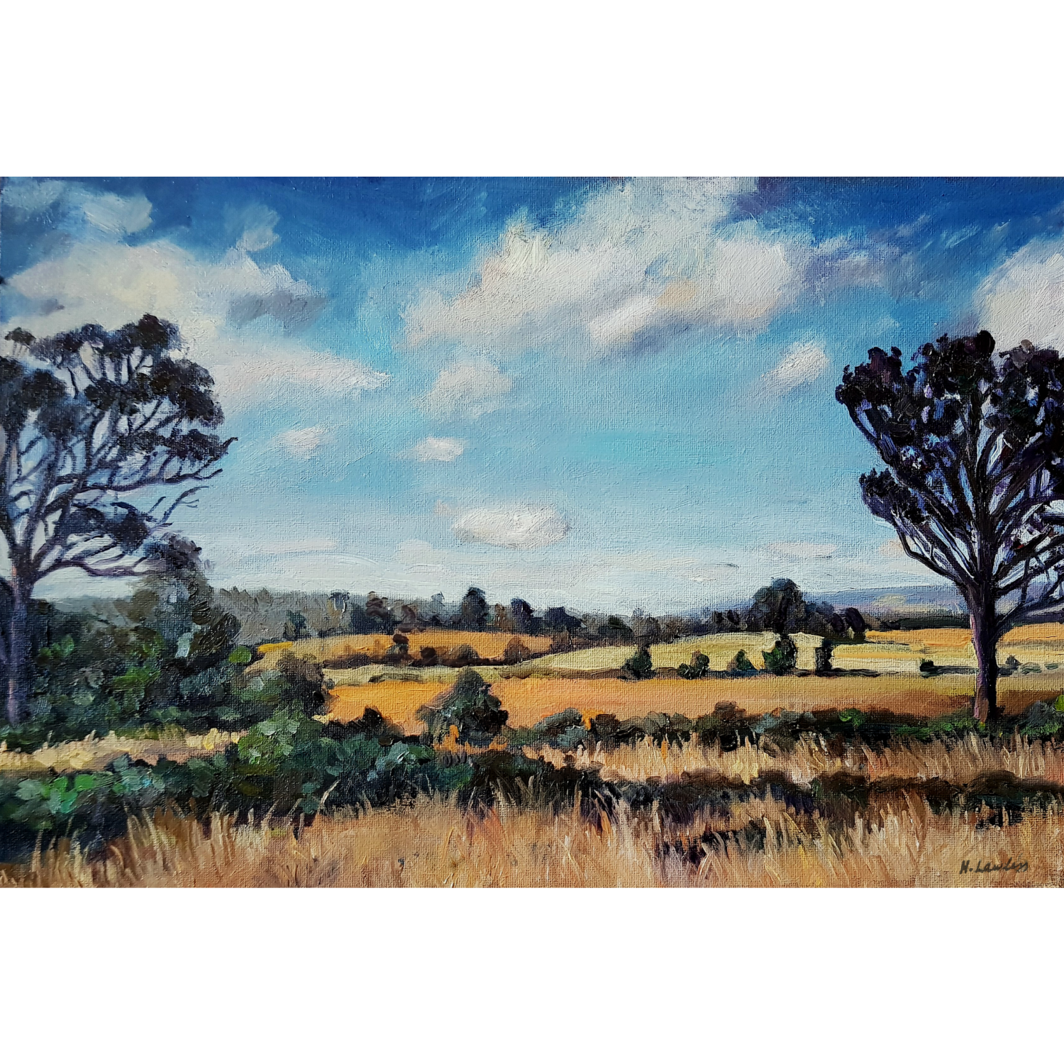 Out the back of Mittagong - Harriet Lawless Artist