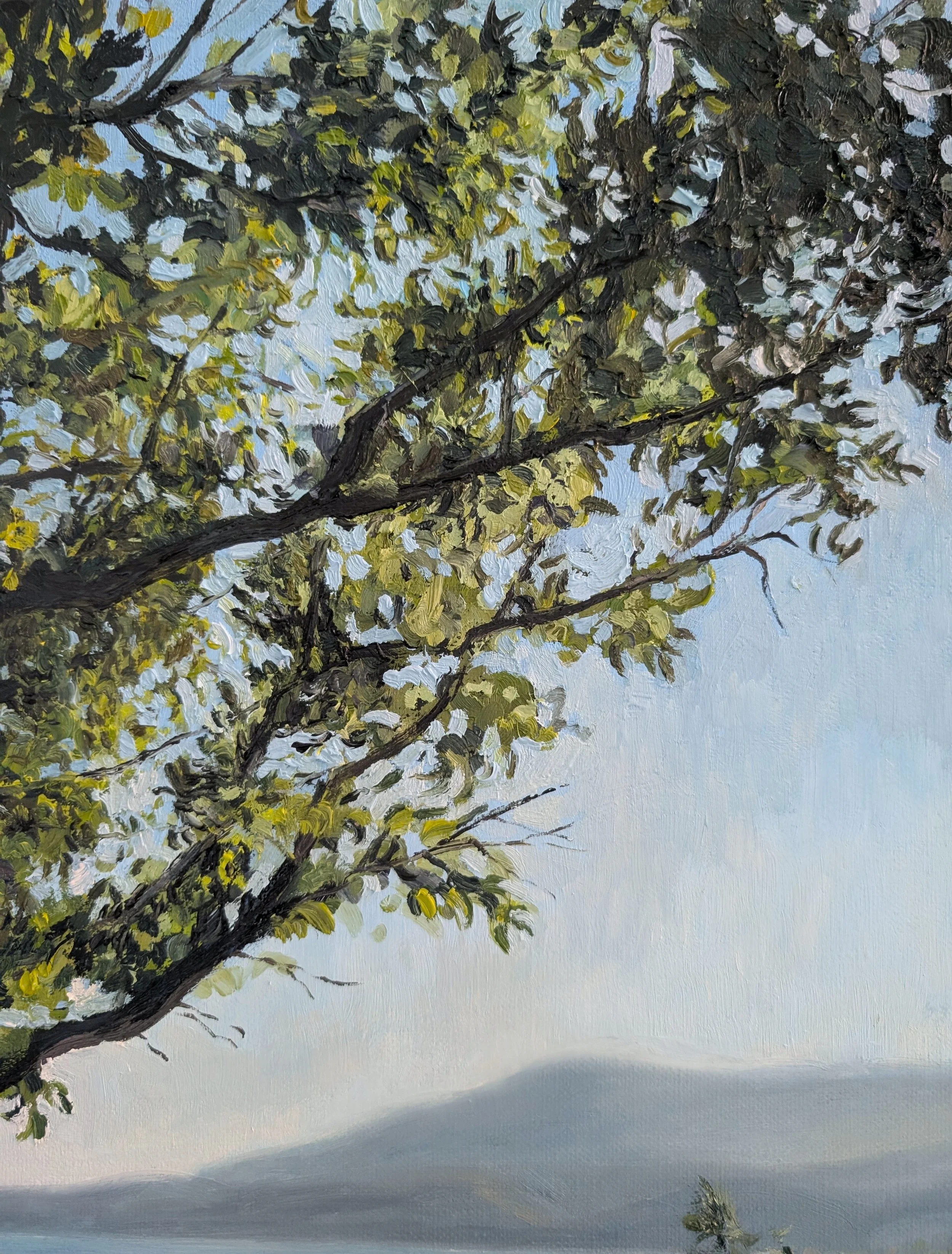 Through the Trees From the Castle, Koroni - Harriet Lawless Artist