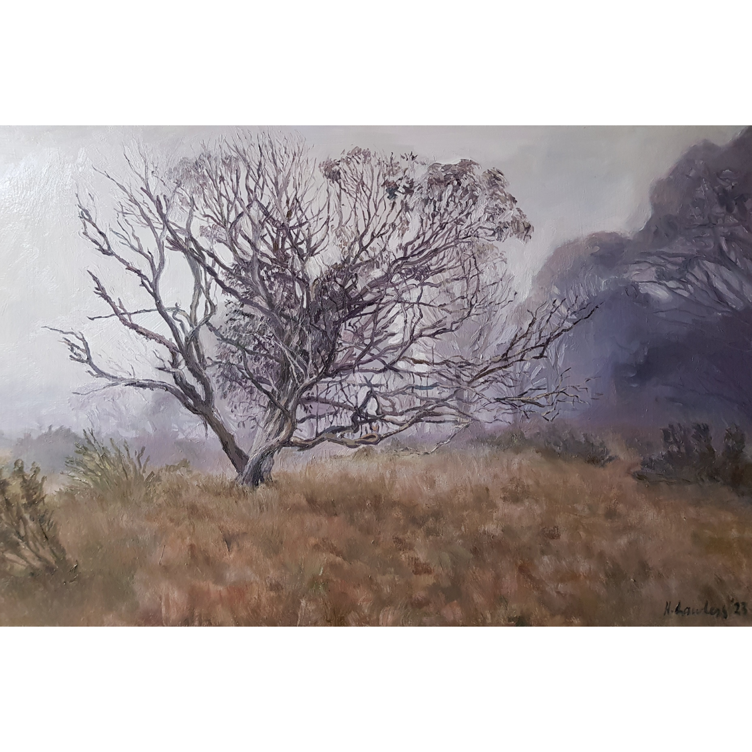 Summer mist at Dinner Plain - Harriet Lawless Artist