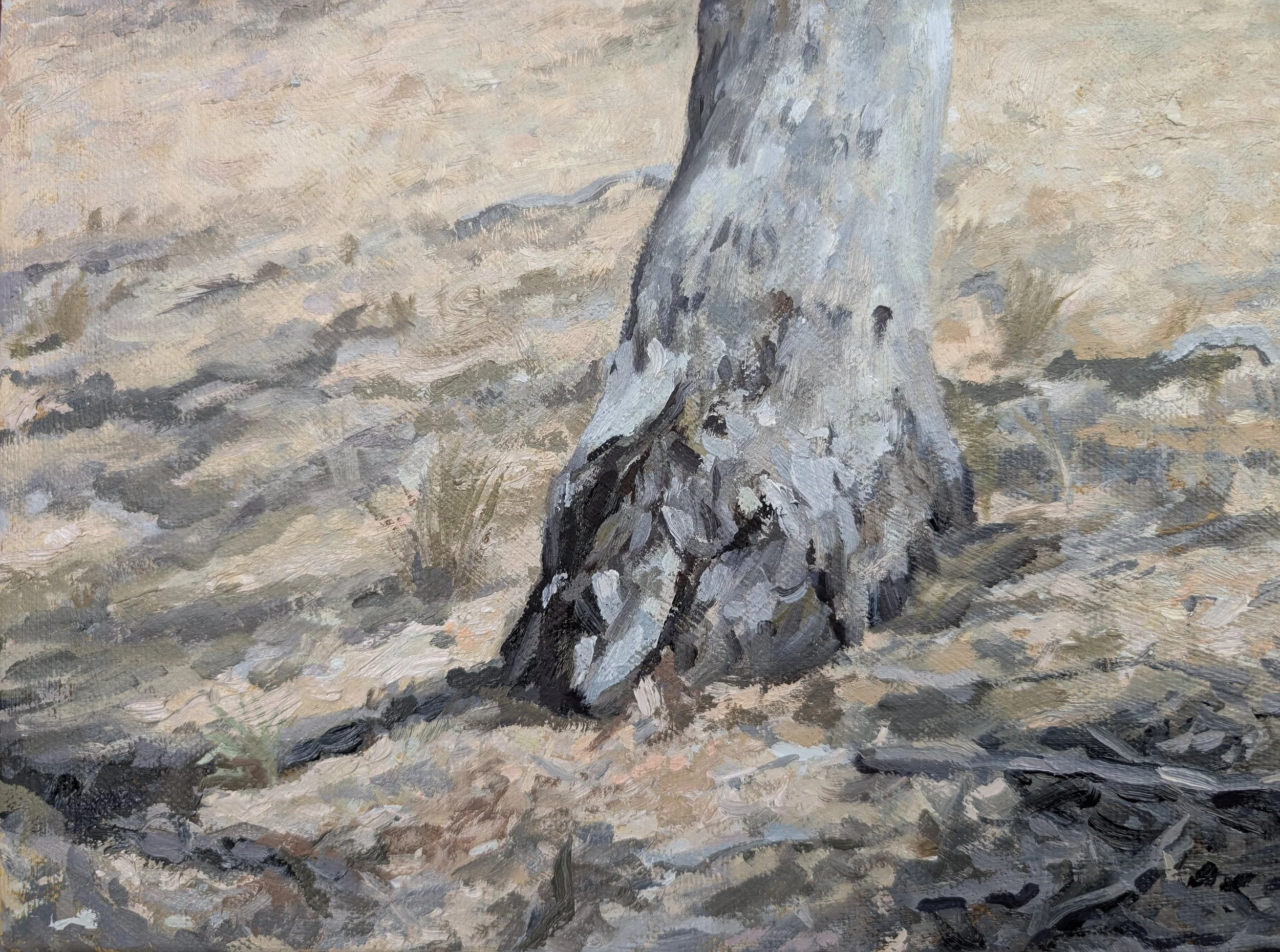 Just Off Tom Roberts Road - Harriet Lawless Artist