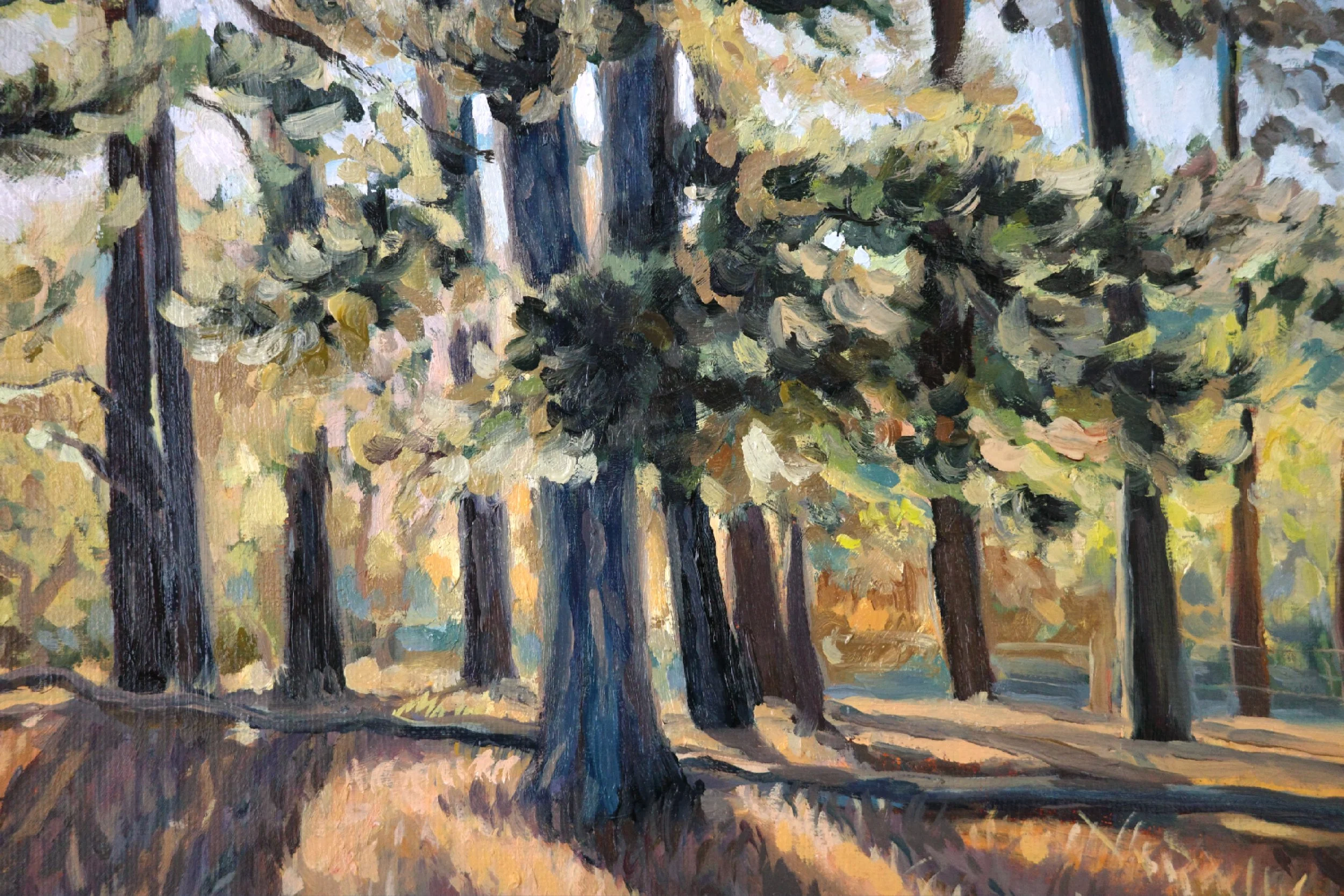 Long Evening Shadows, Adelaide Hills - Harriet Lawless Artist