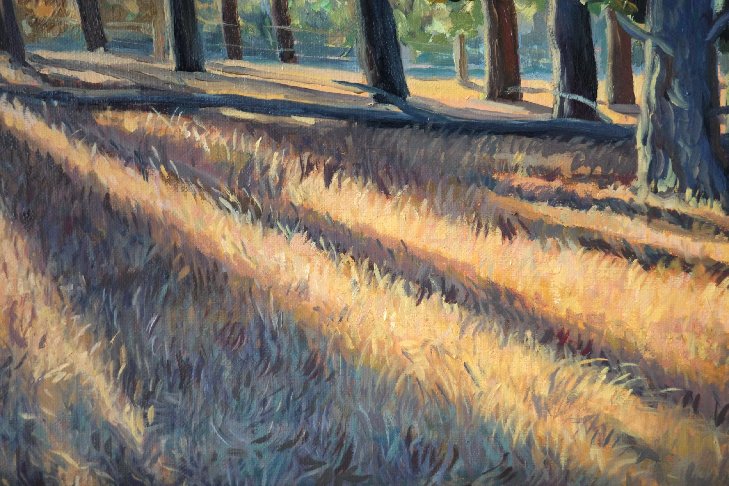 Long Evening Shadows, Adelaide Hills - Harriet Lawless Artist