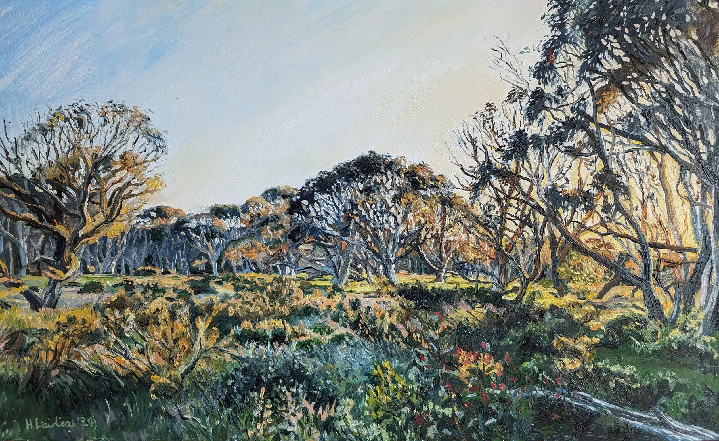 "Dawn's Vibrant Palette at Dinner Plain", Oil on board, 60 × 37cm, 2024. Sold.