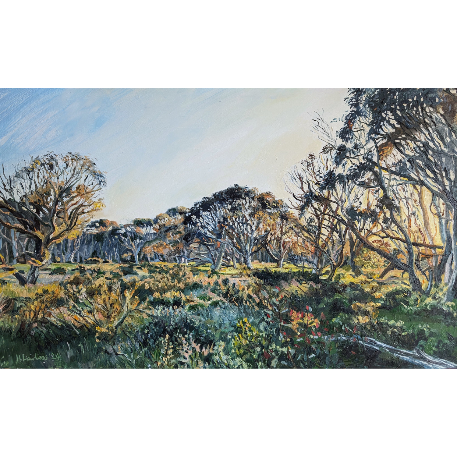 Dawn's Vibrant Palette at Dinner Plain - Harriet Lawless Artist