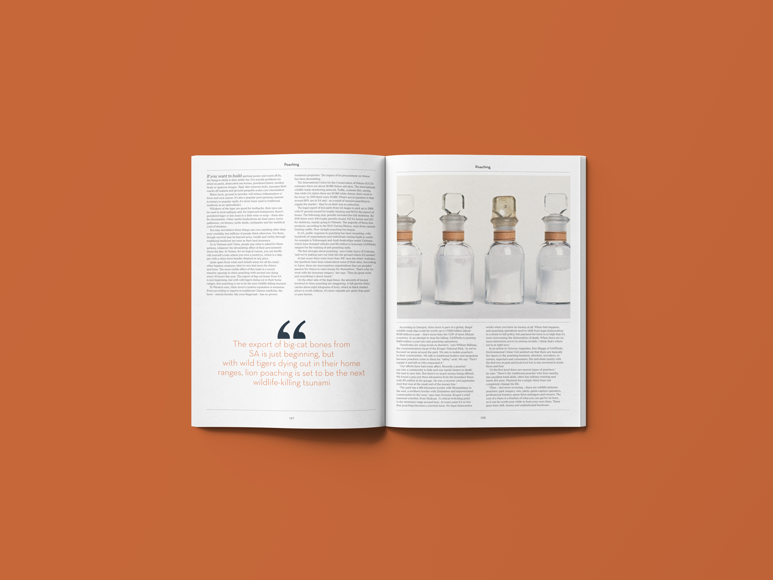 Mockup-Spread-Earth6.png