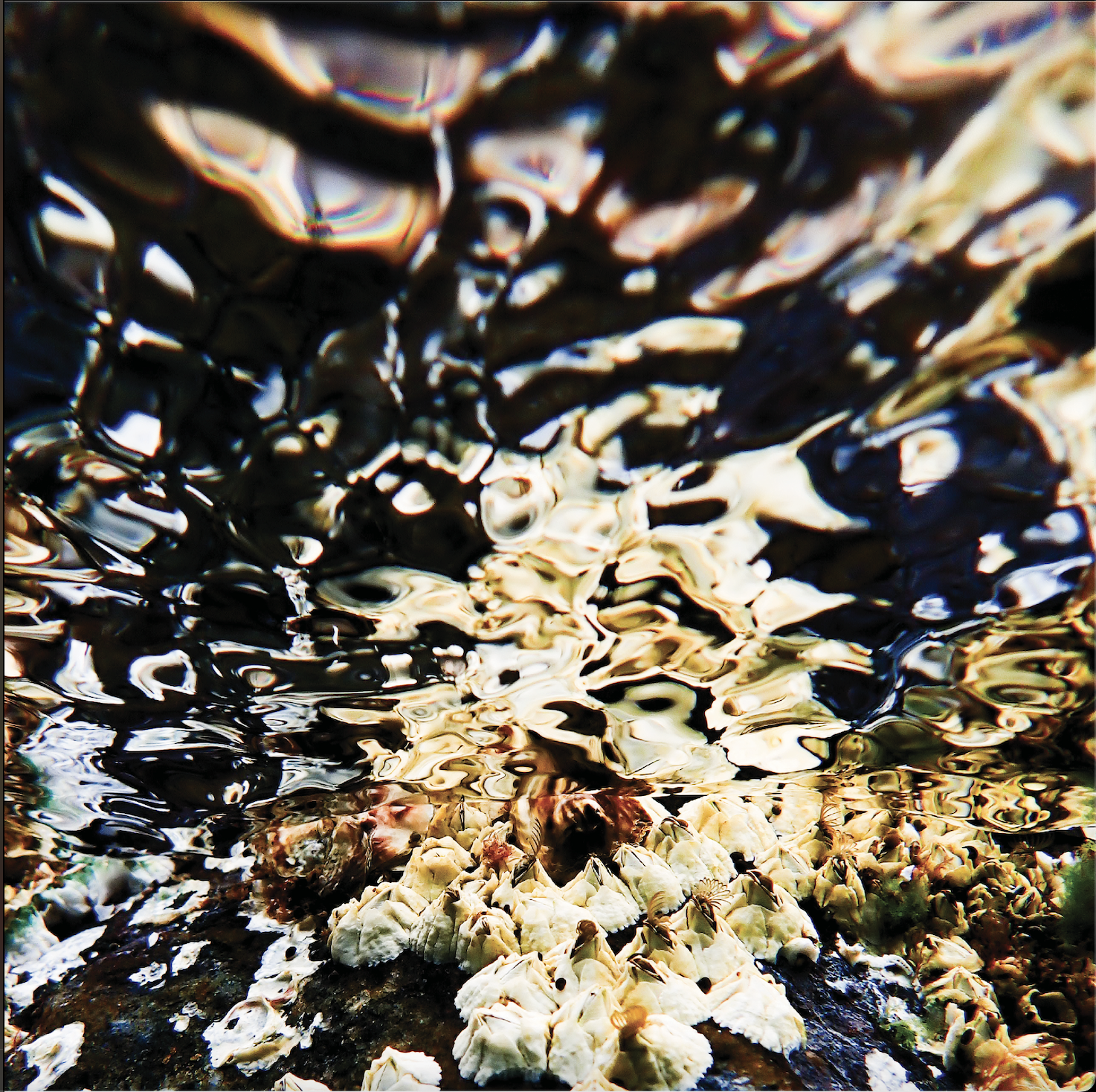 Between Tides 2