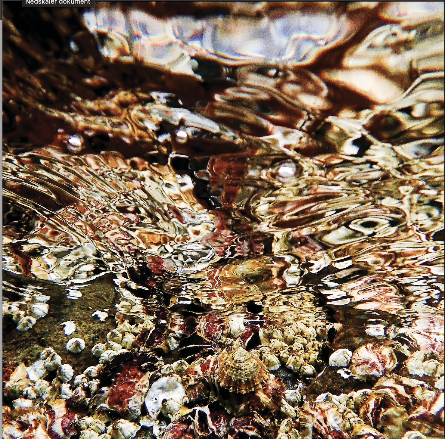 Between Tides 4