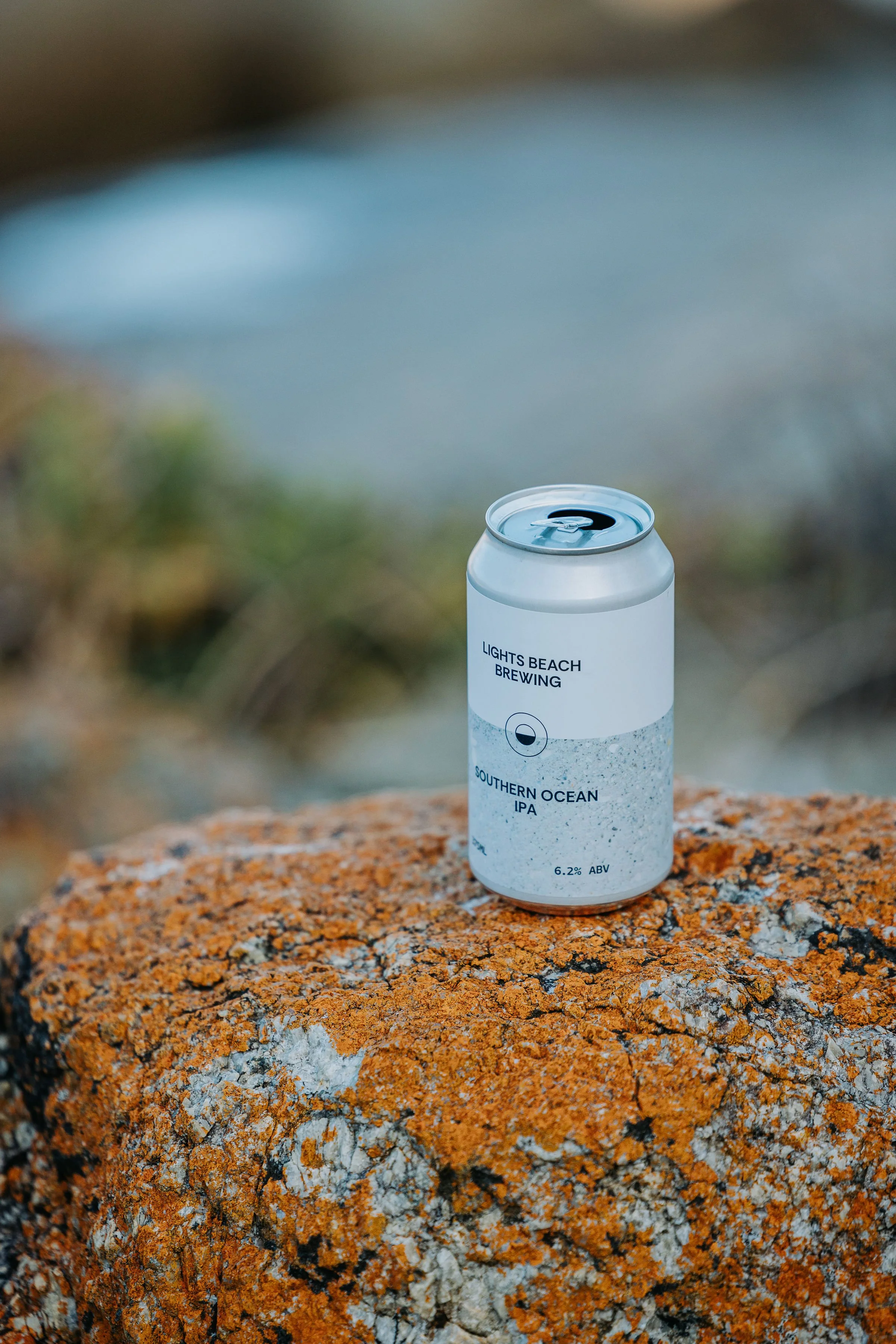 Lights_Beach_Brewing_250904©KrystaGuille_0160.jpg
