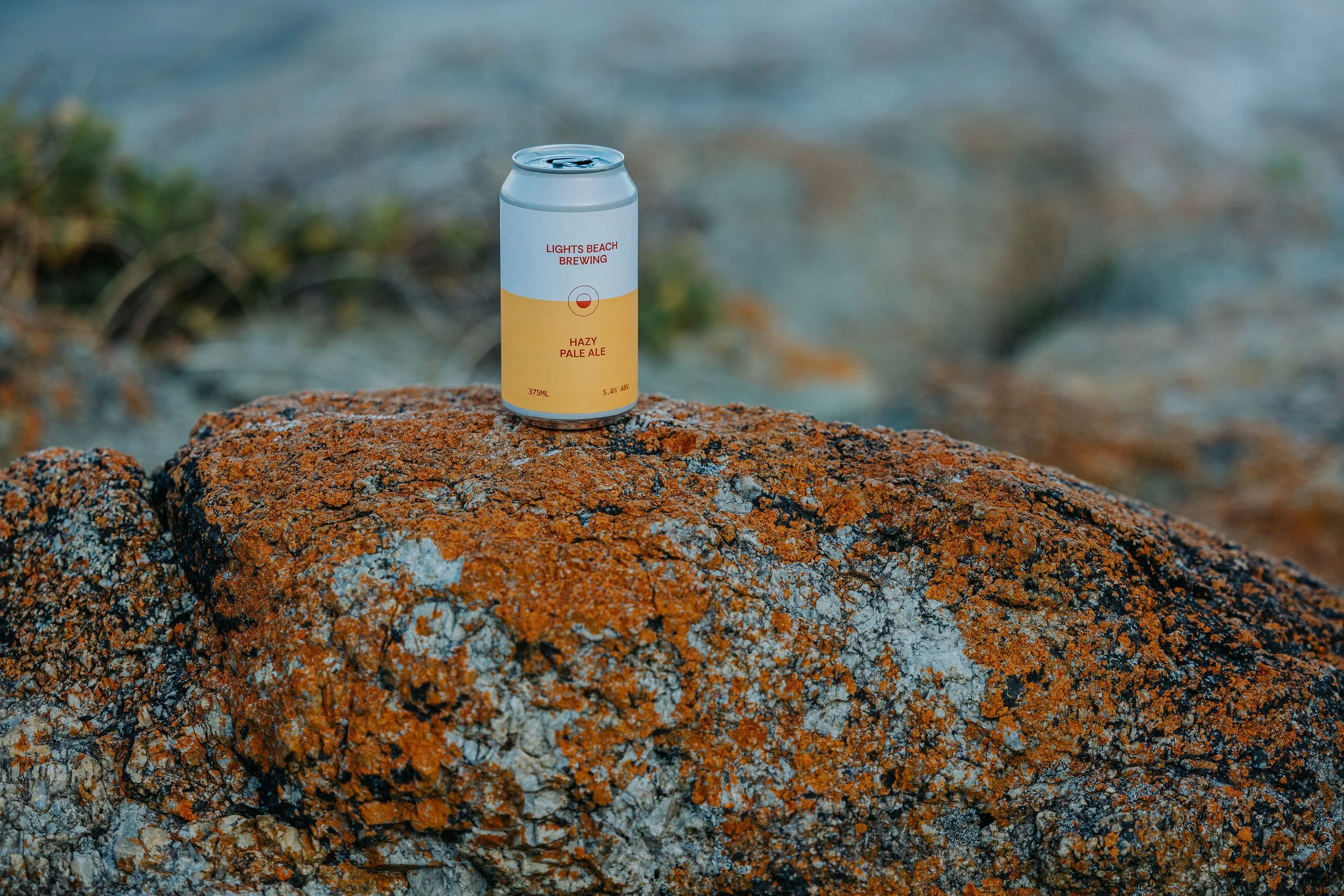 Lights_Beach_Brewing_250904©KrystaGuille_0163.jpg