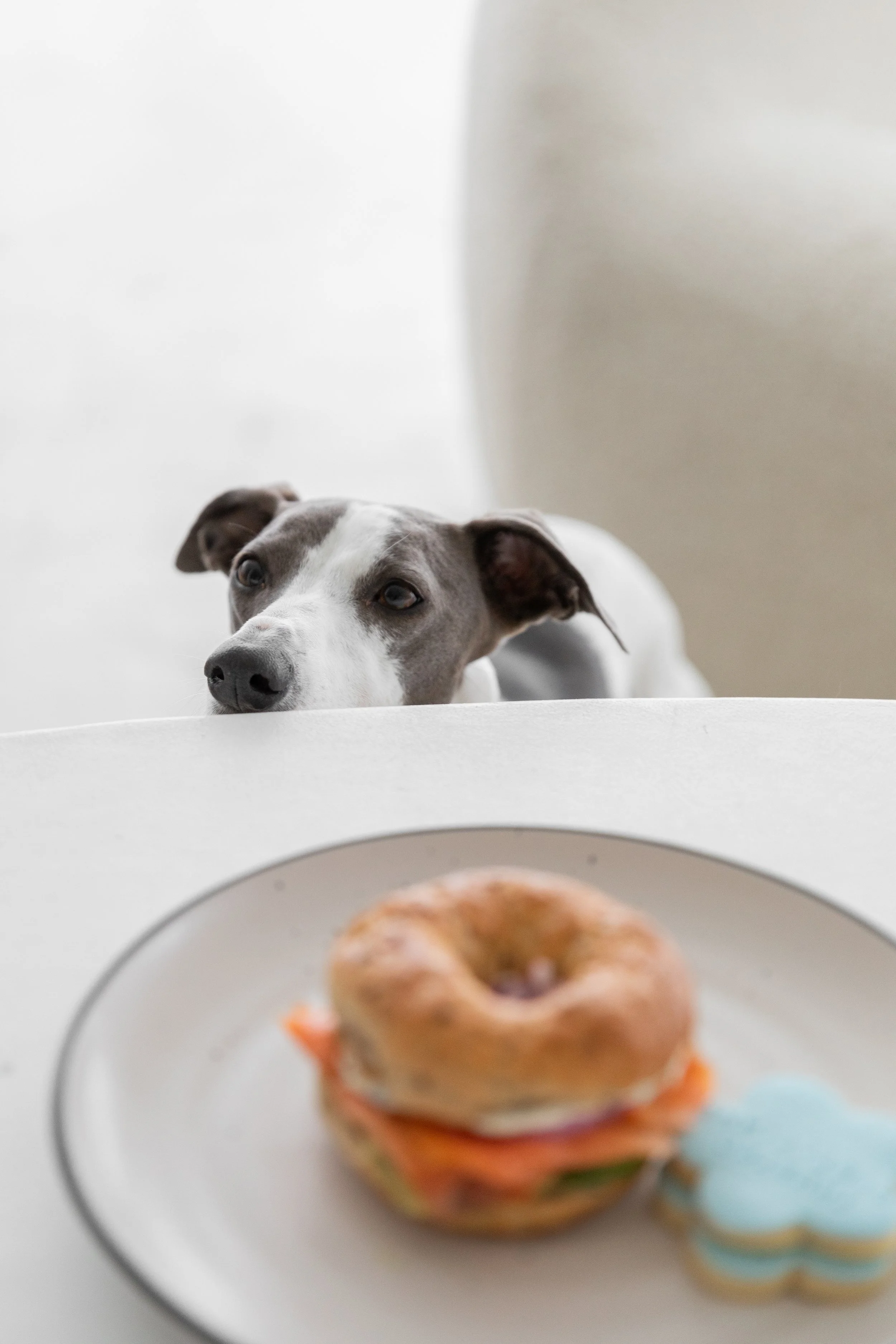 Why Carbs Are Not Your Enemy: Debunking Popular Carbohydrate Myths